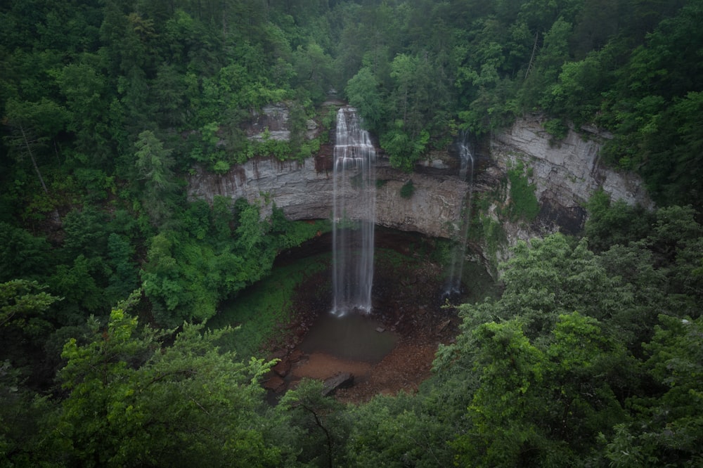 a large waterfall in a forest