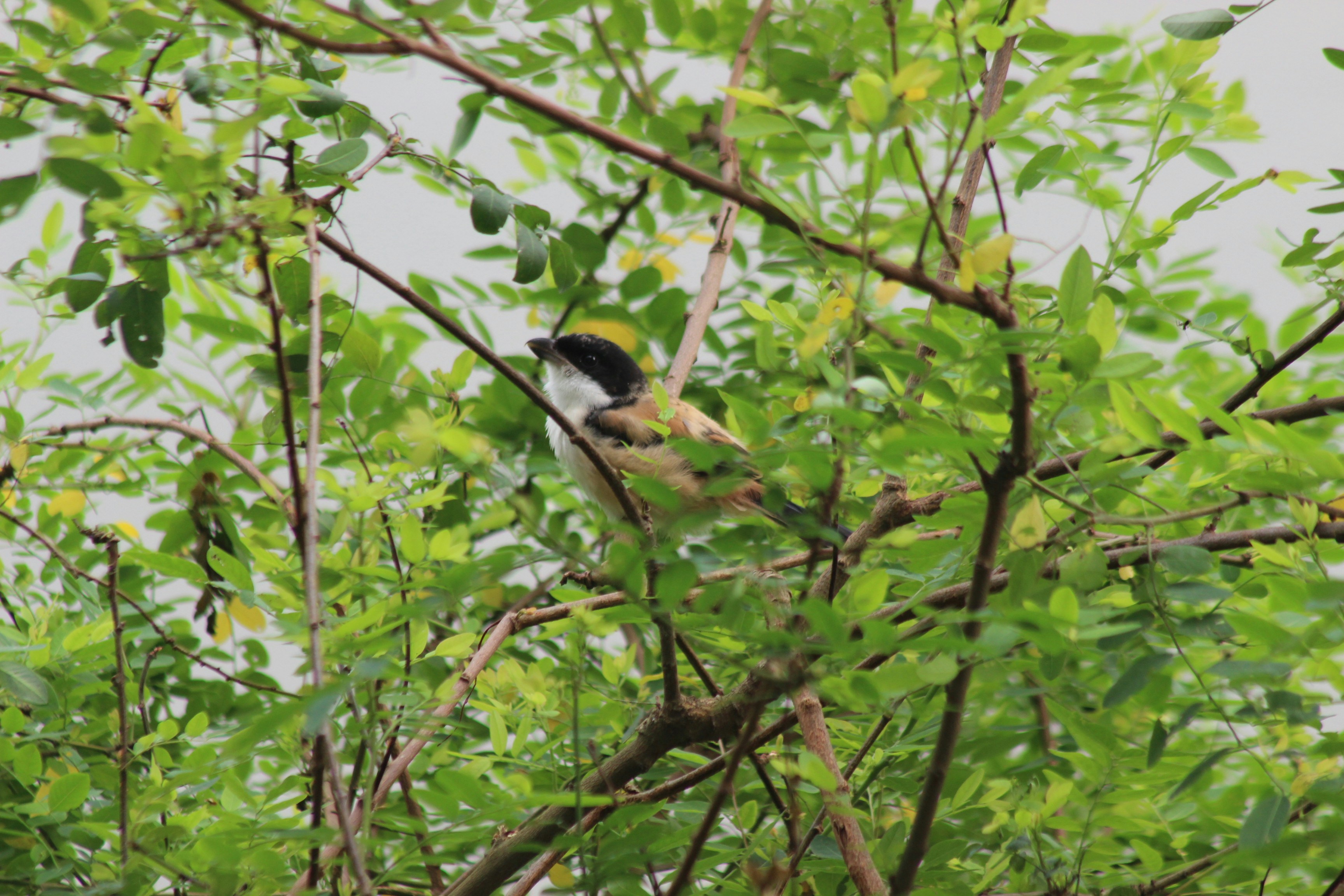 Photo by creativepoka