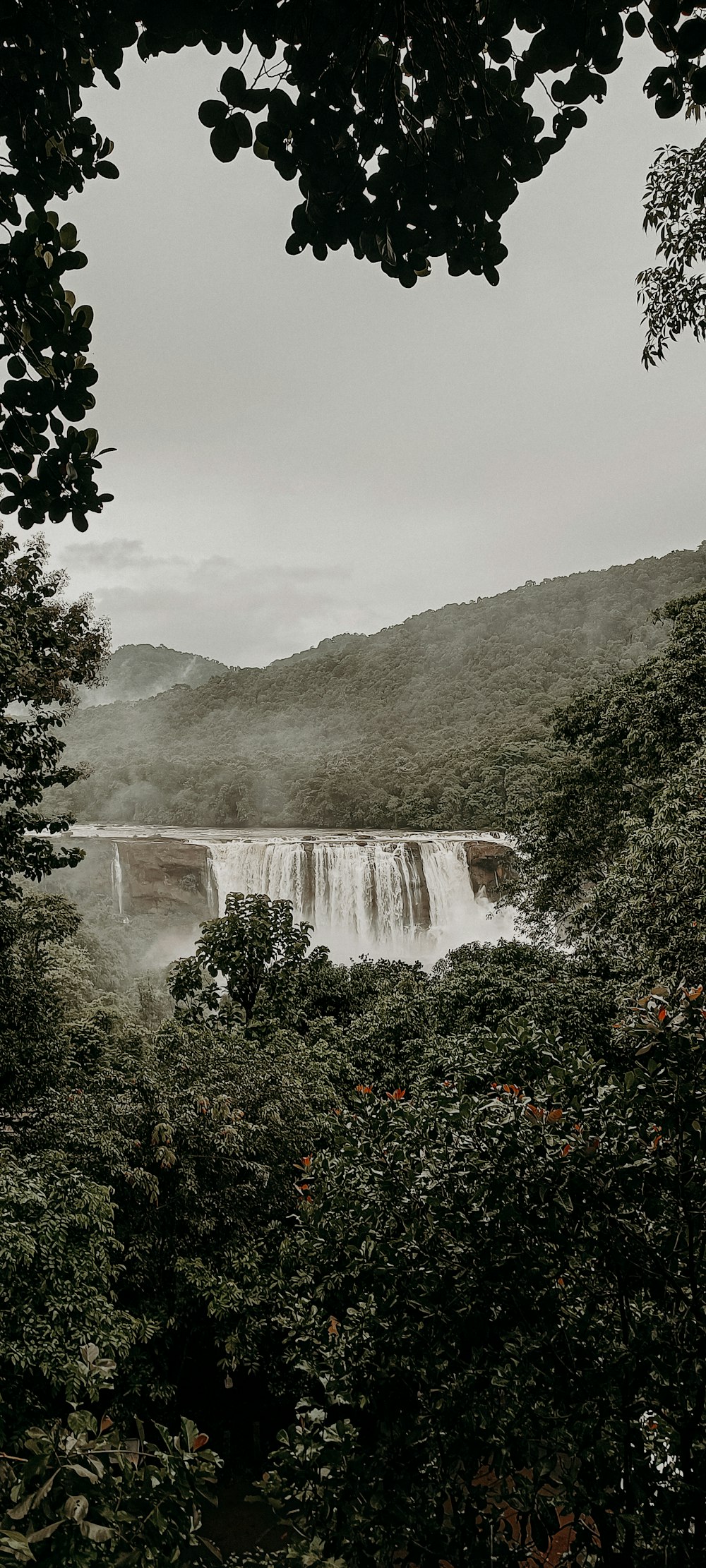 a waterfall in a forest