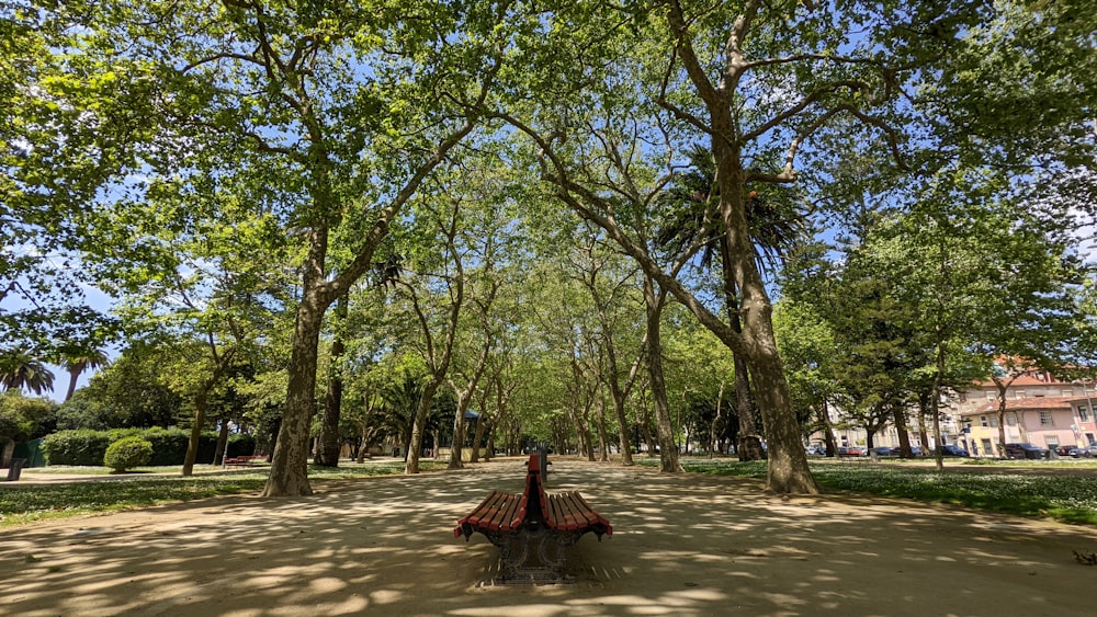 a park with benches