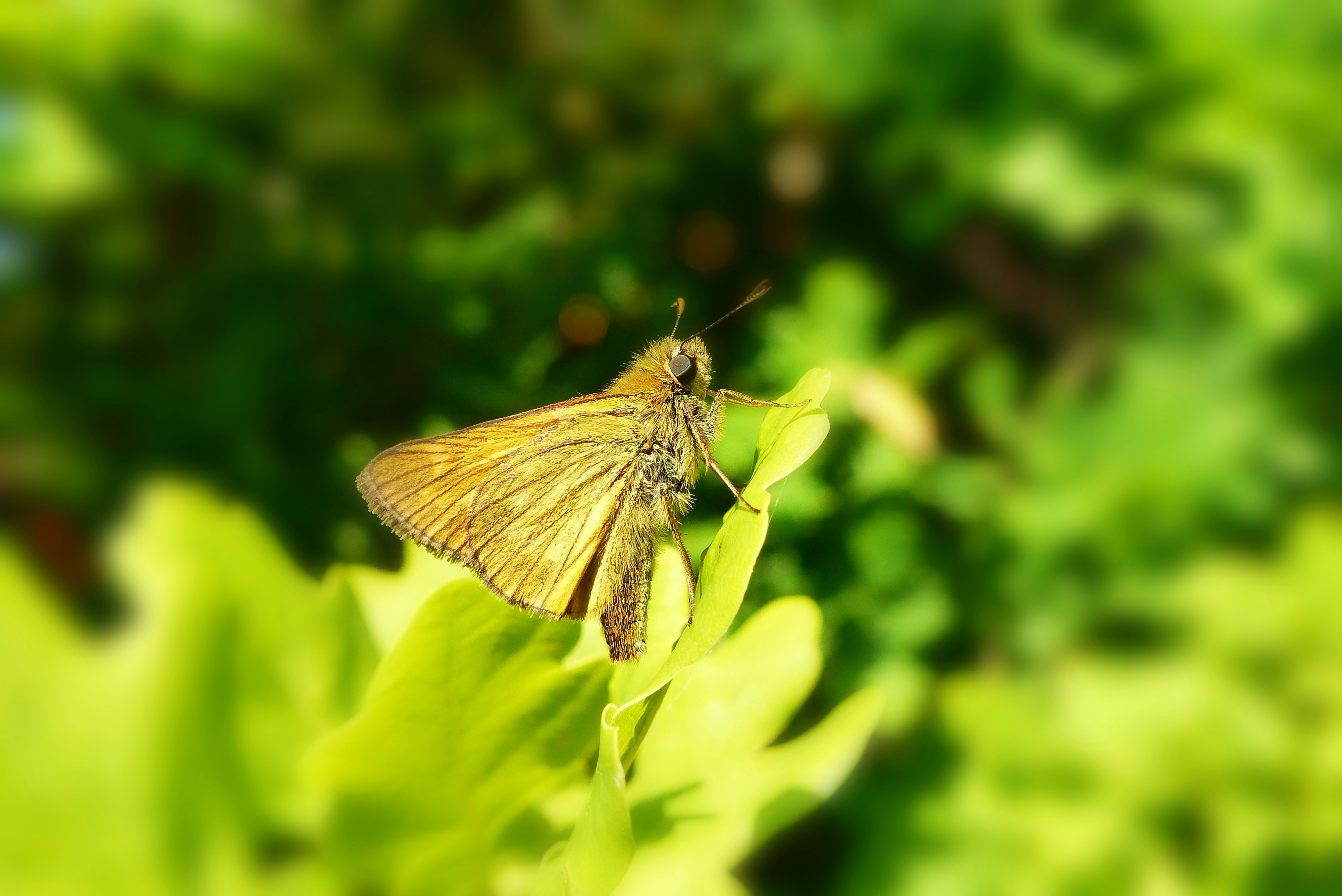 Photo by epan5