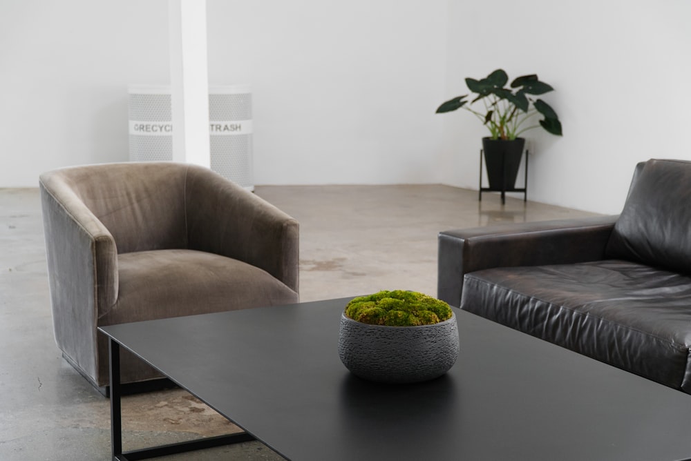 a couch and a table with a bowl of plant on it