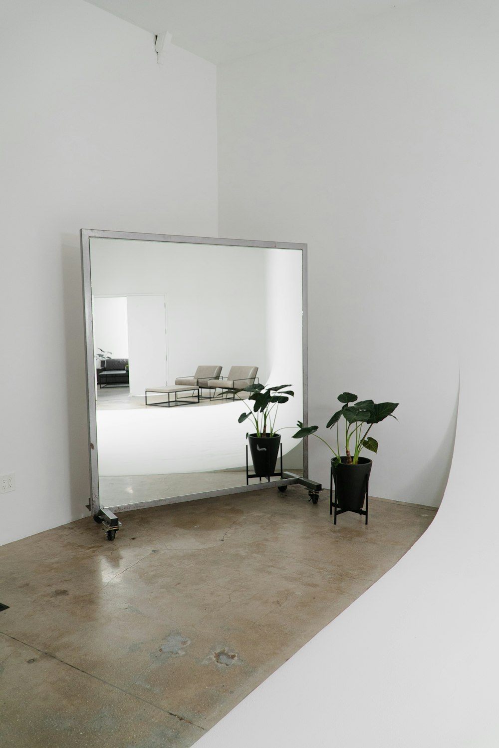 a room with a mirror and a plant in it