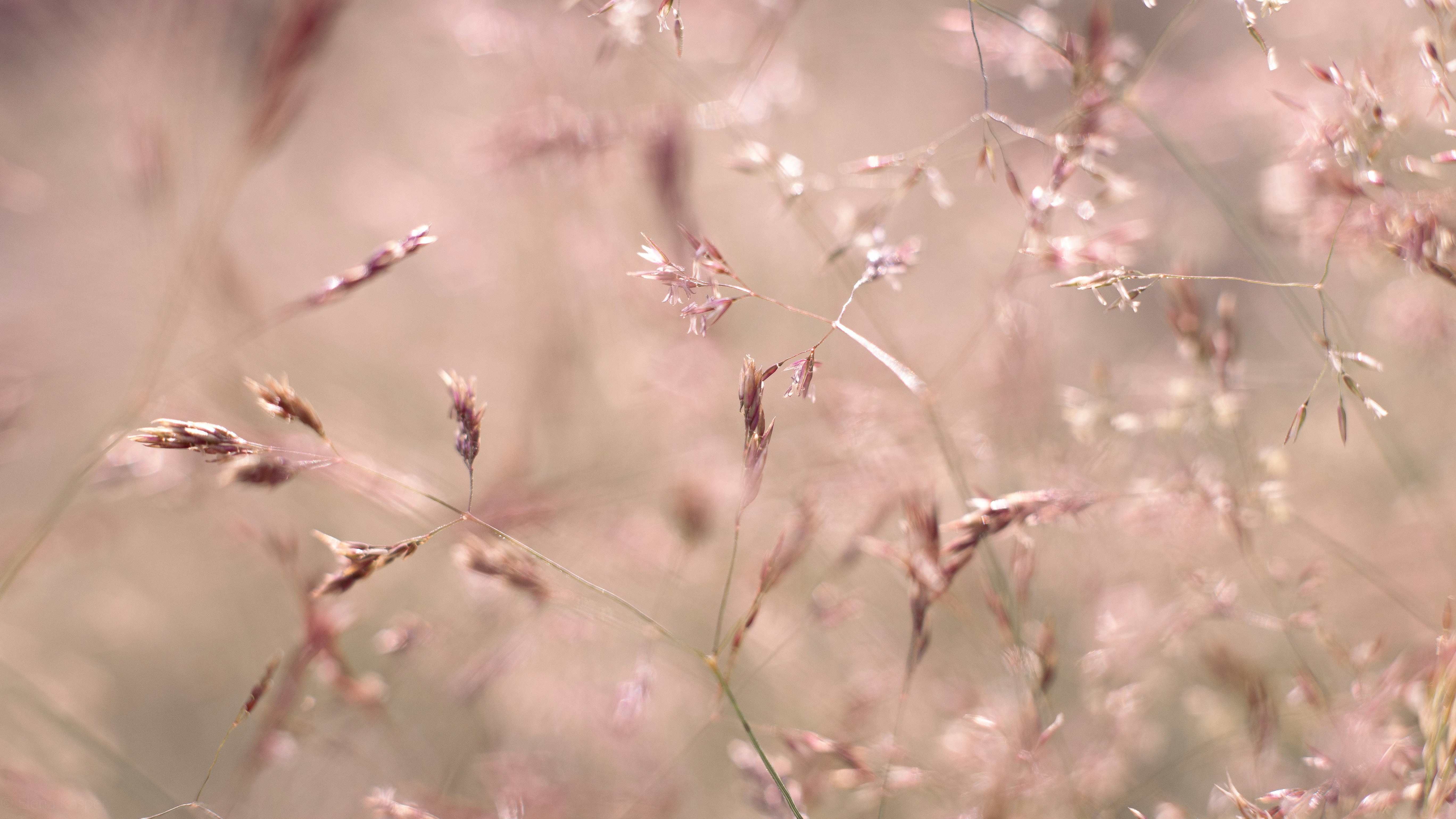 Photo by elenakasper