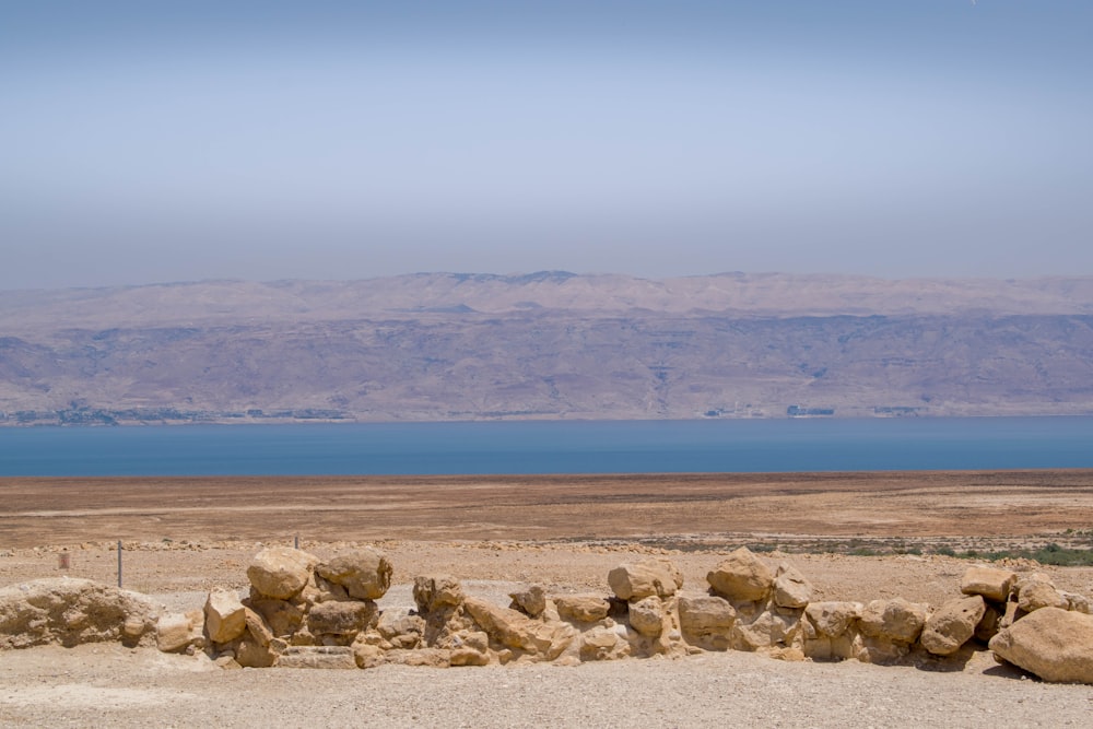 a rocky beach with a body of water in the background