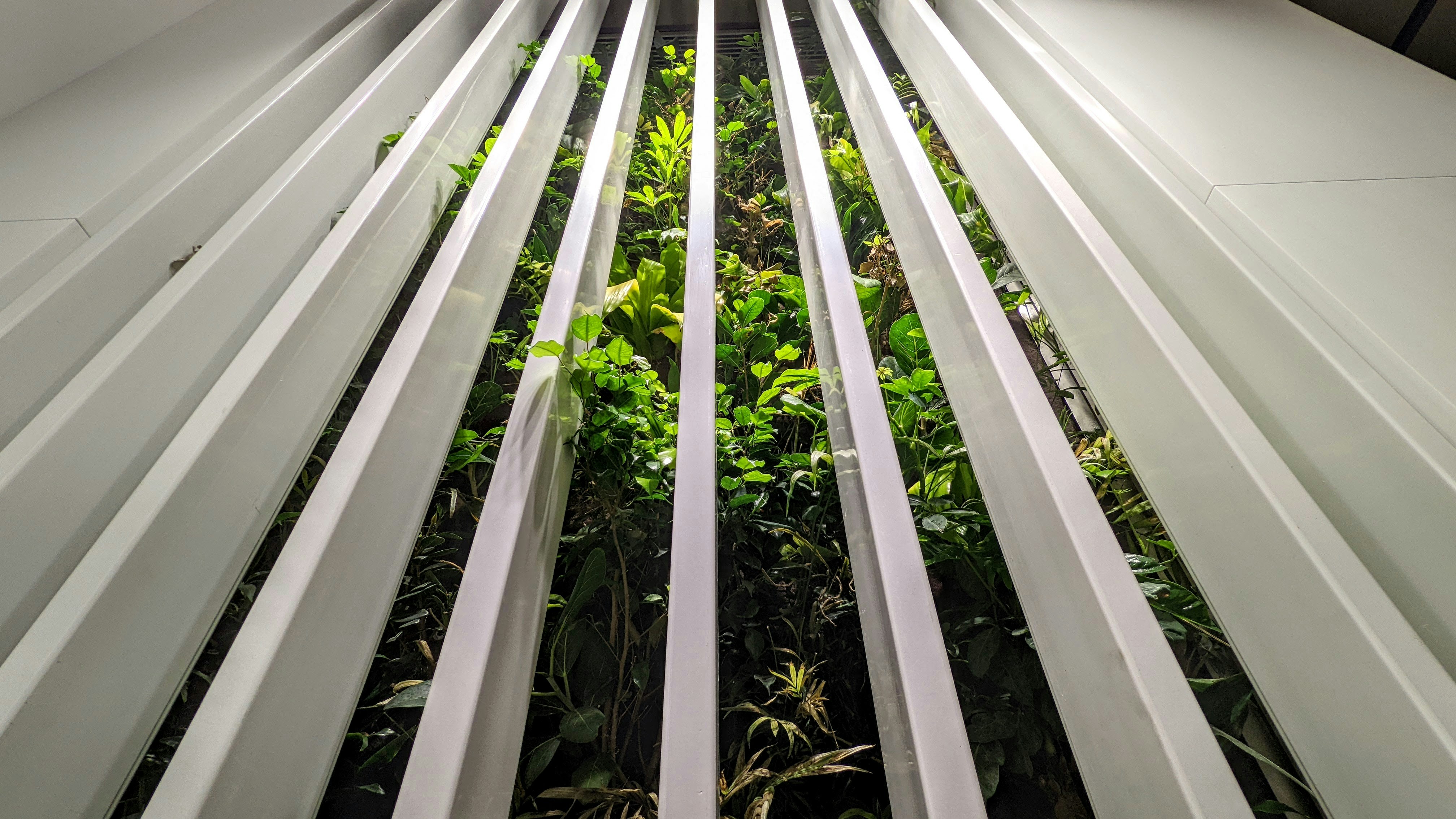 Top 5 Executor Builds After the Nightreign Buff (Beginner to Pro)