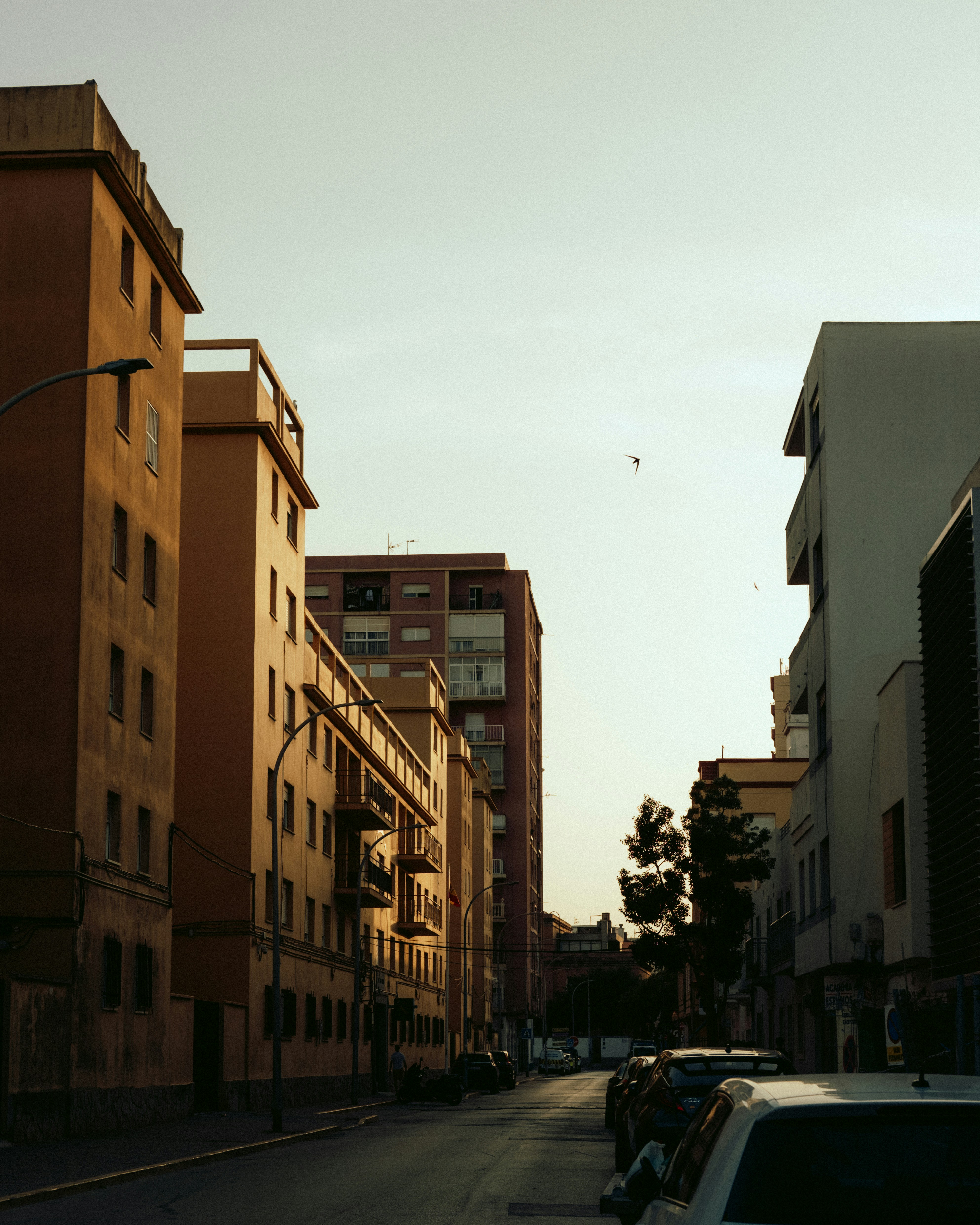 Photo by marianacbras