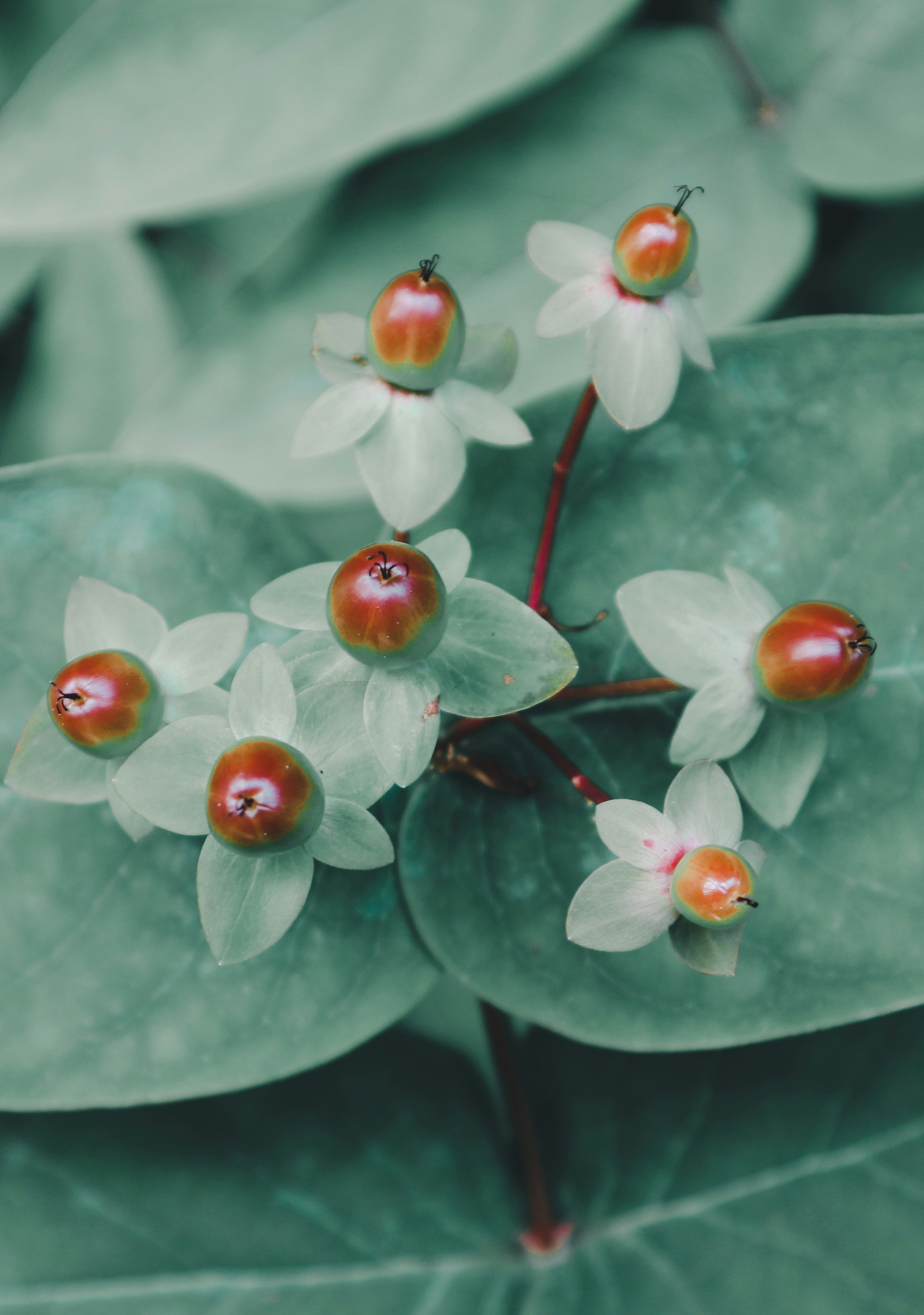 Photo by leakatharinafr