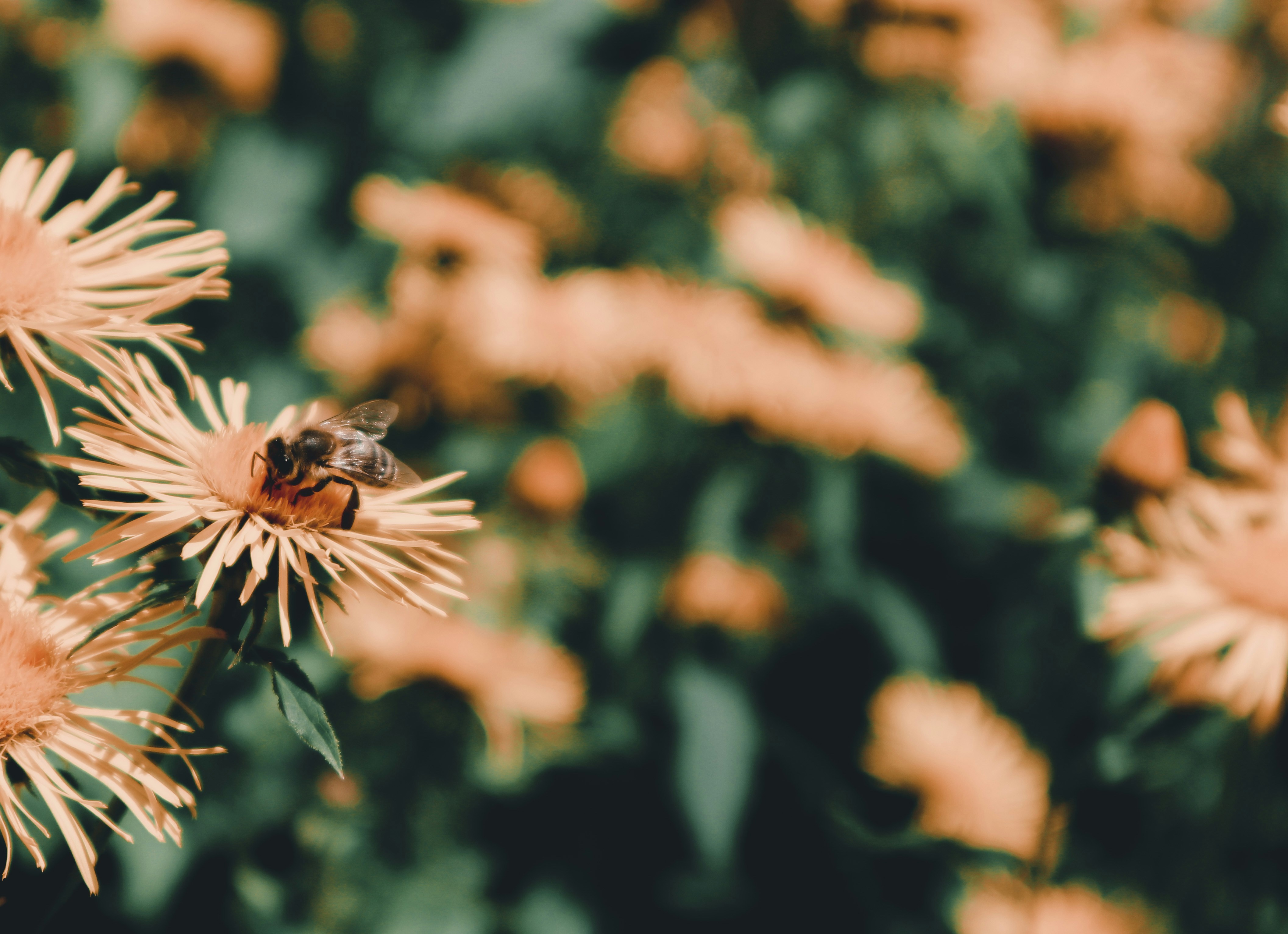 Photo by leakatharinafr