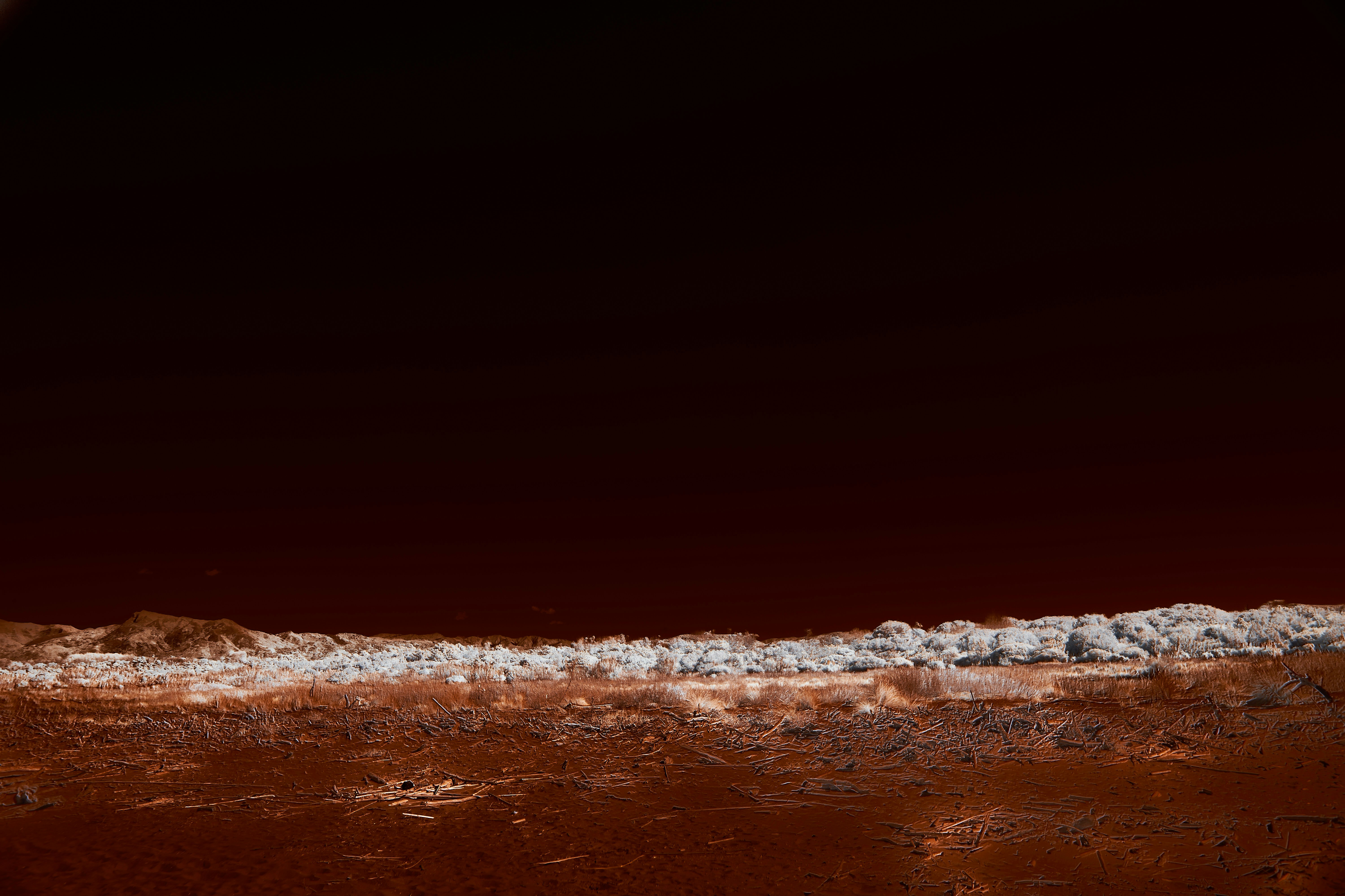 Photo by wolfgang_hasselmann