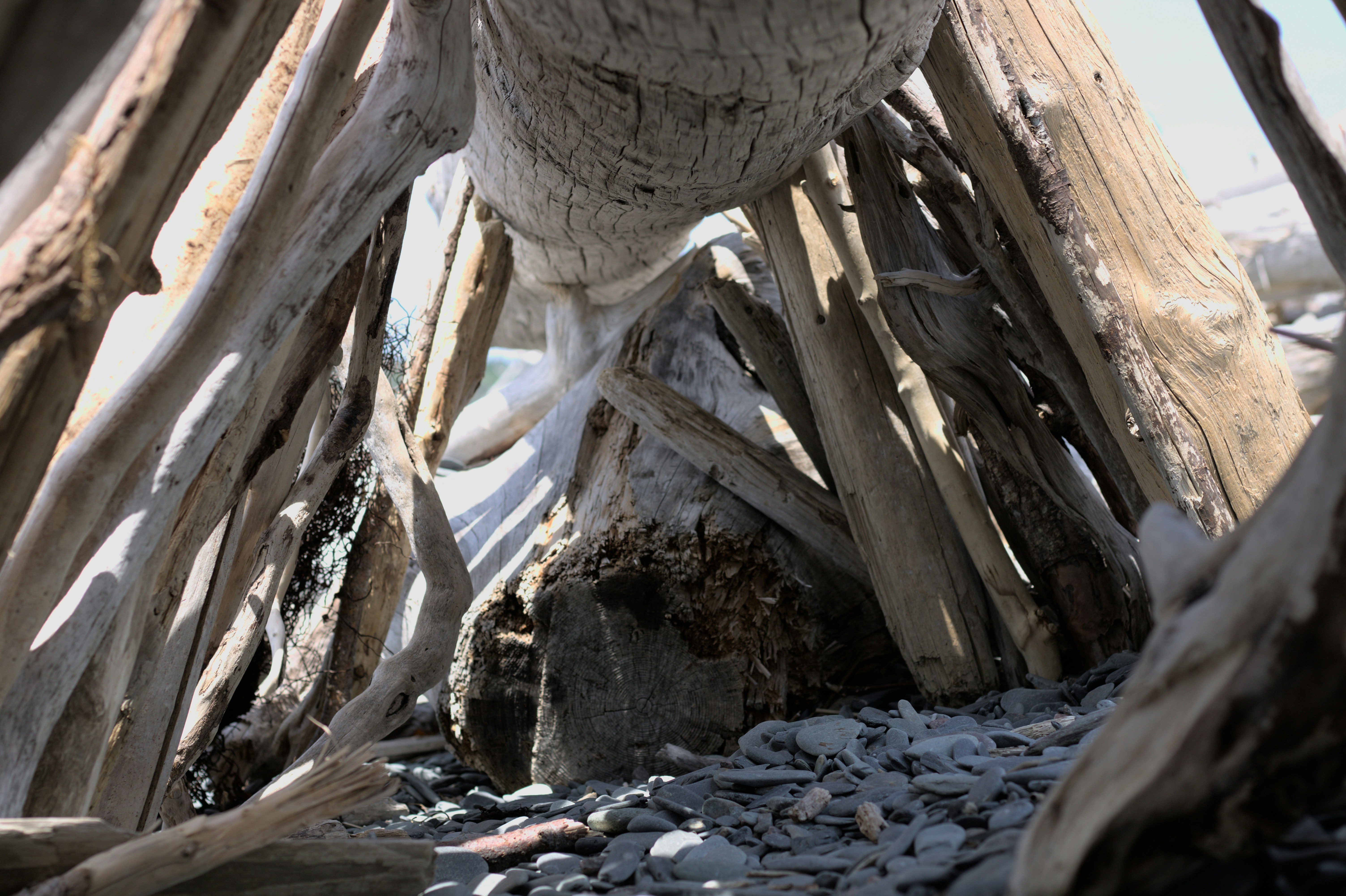 a close-up of some wood