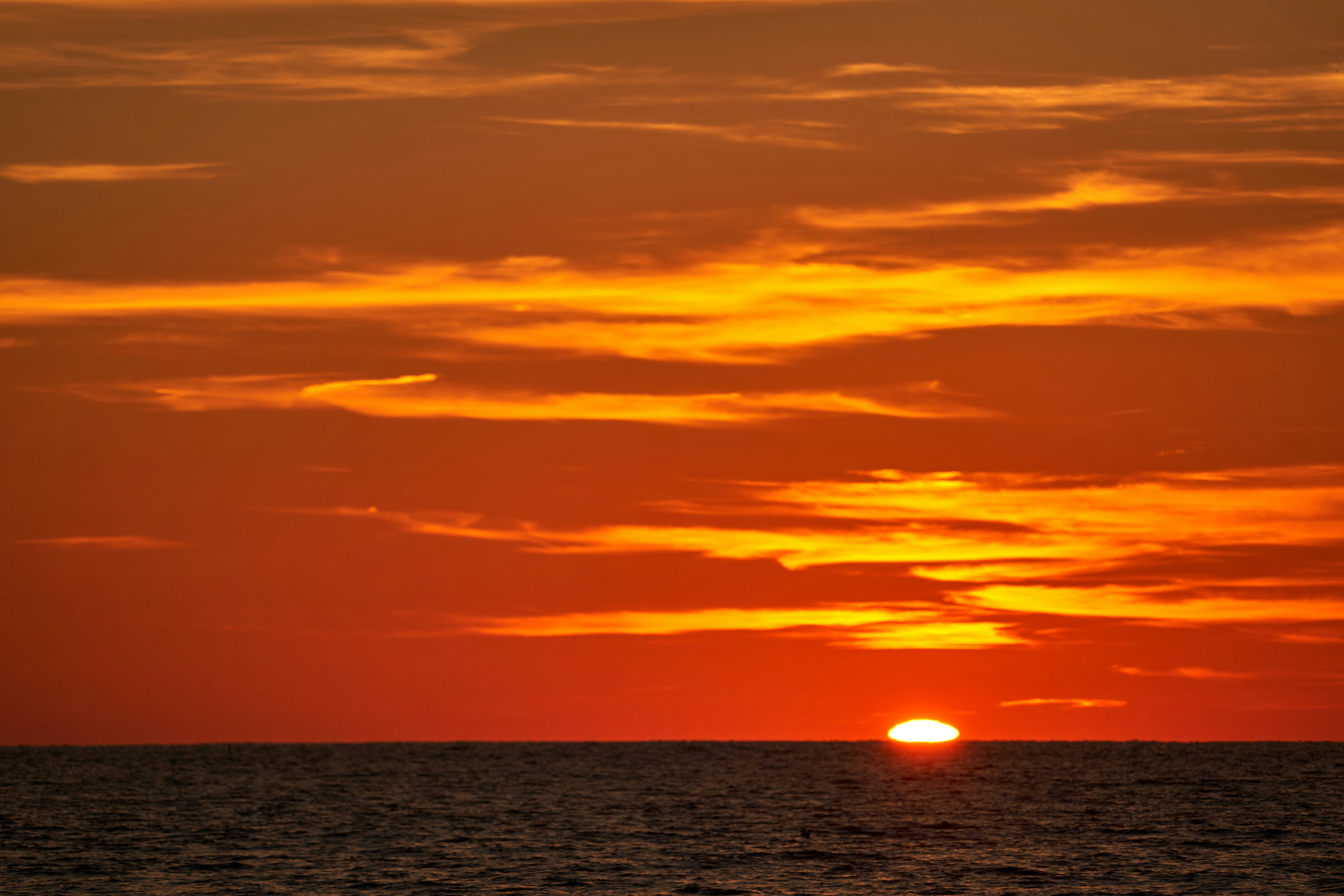 Photo by wolfgang_hasselmann