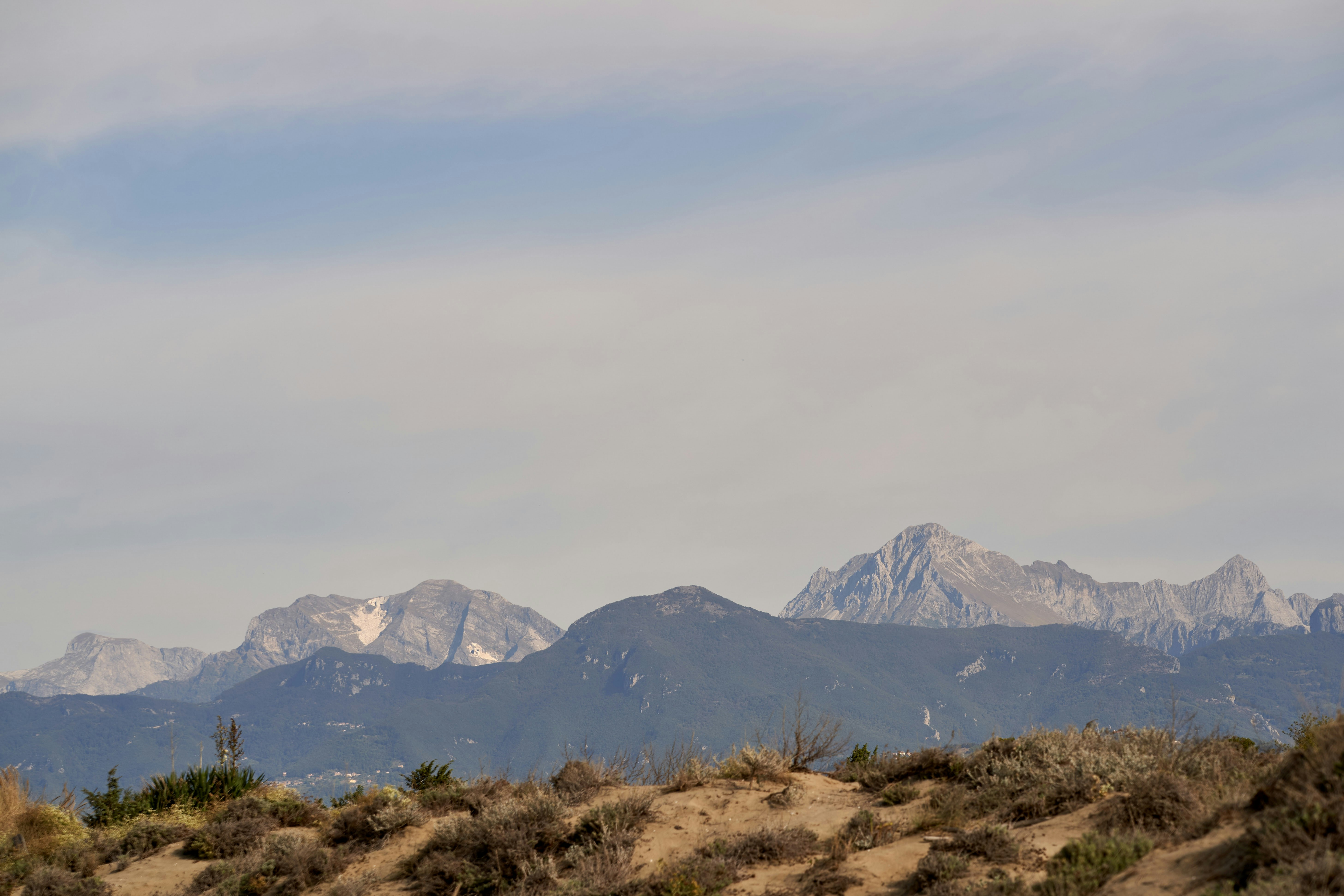 Photo by wolfgang_hasselmann