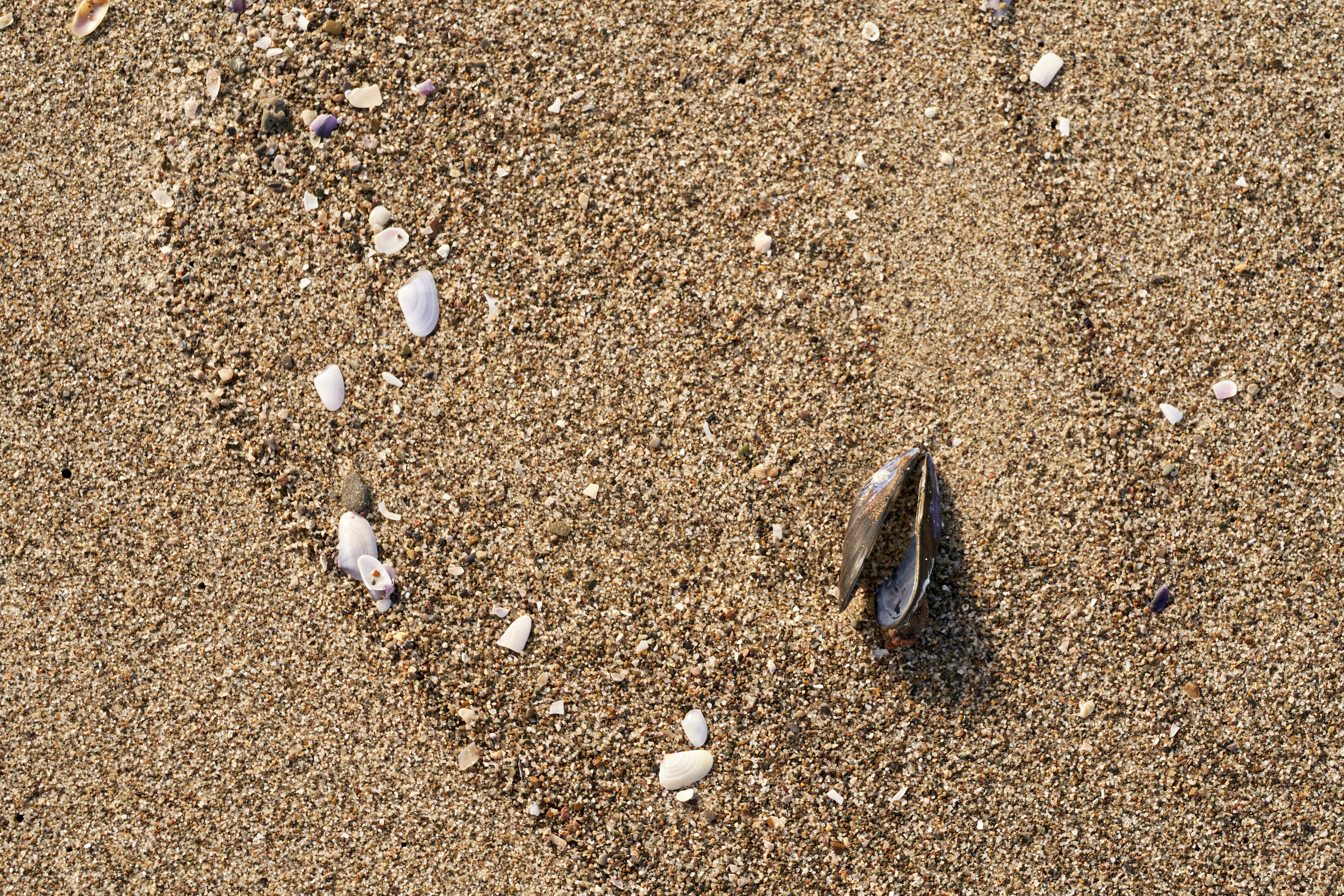 Photo by wolfgang_hasselmann