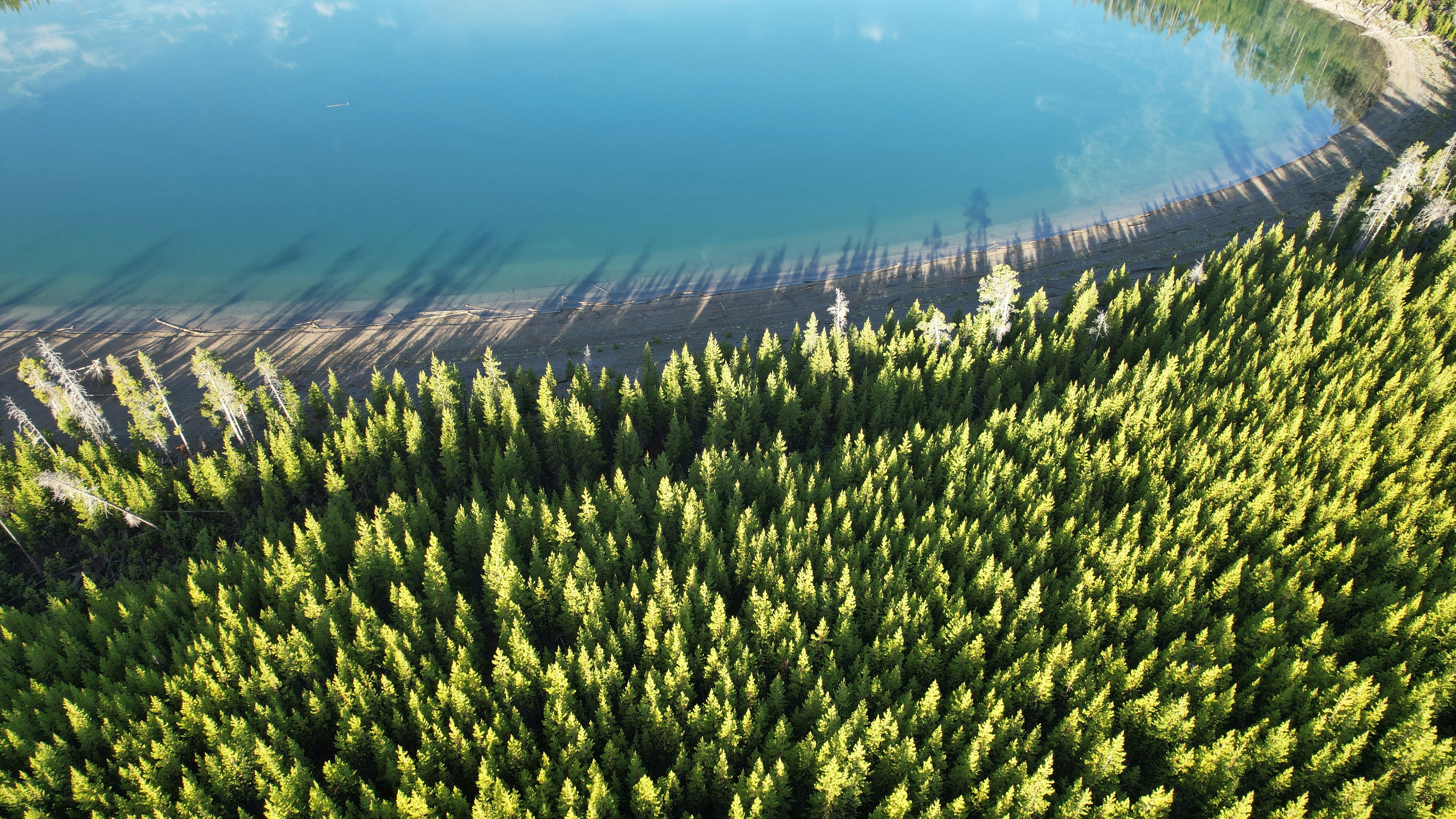 Choose from a curated selection of landscape photos. Always free on Unsplash.