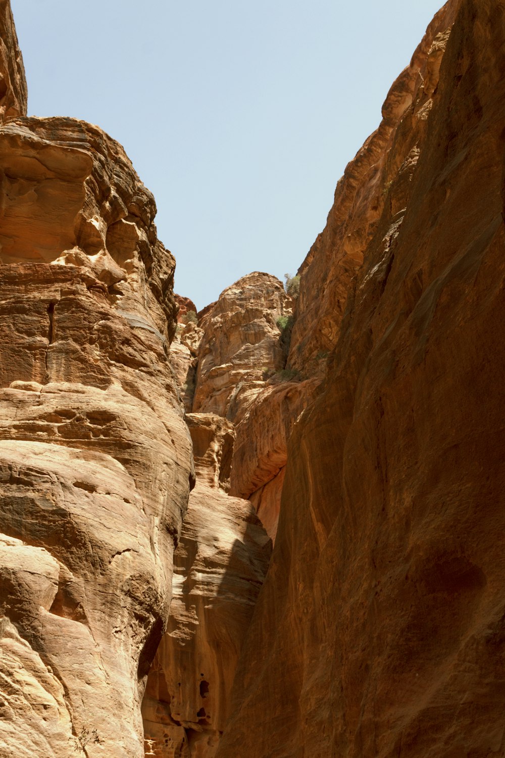 a canyon with a few people walking