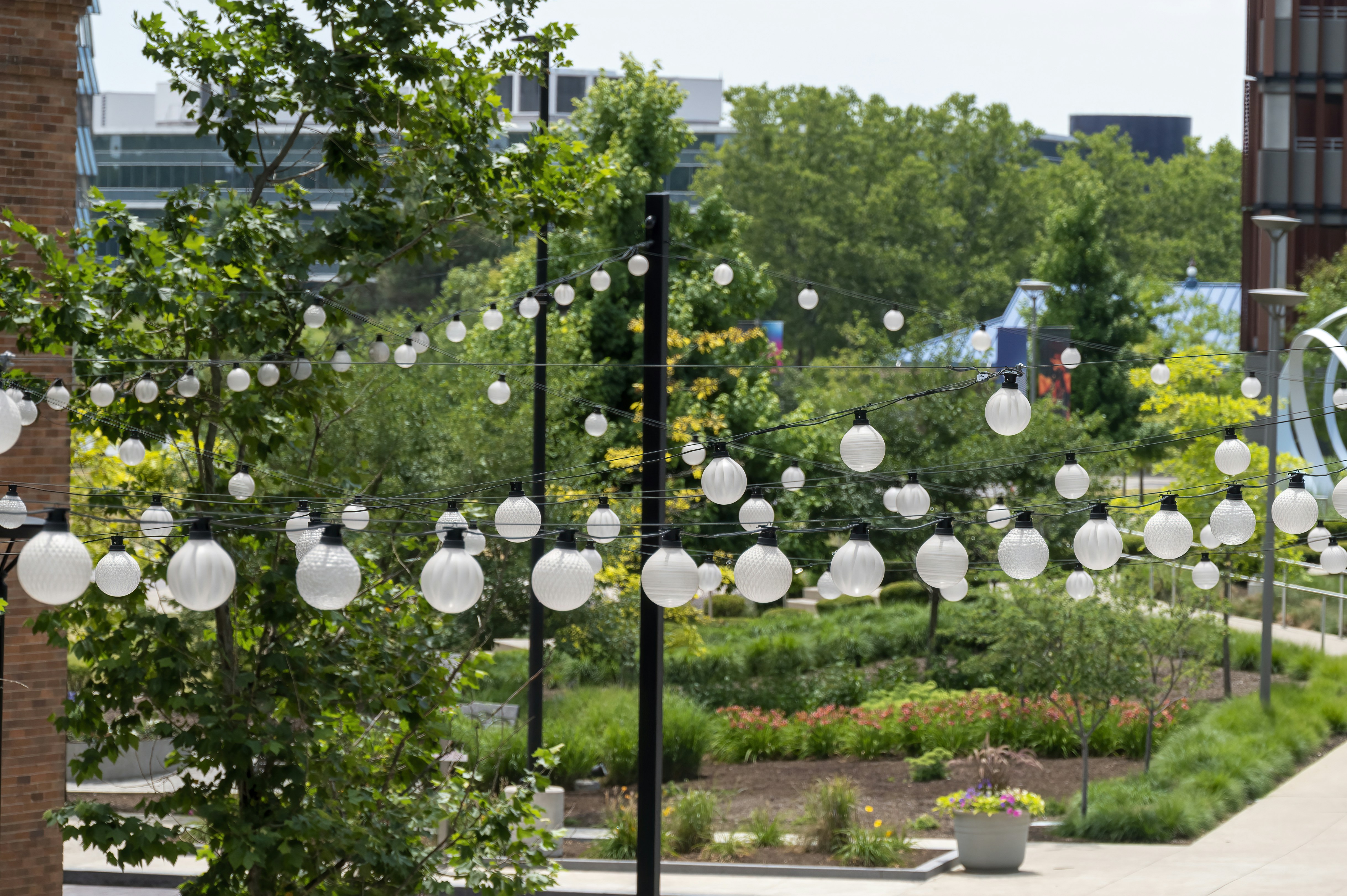 a group of light bulbs