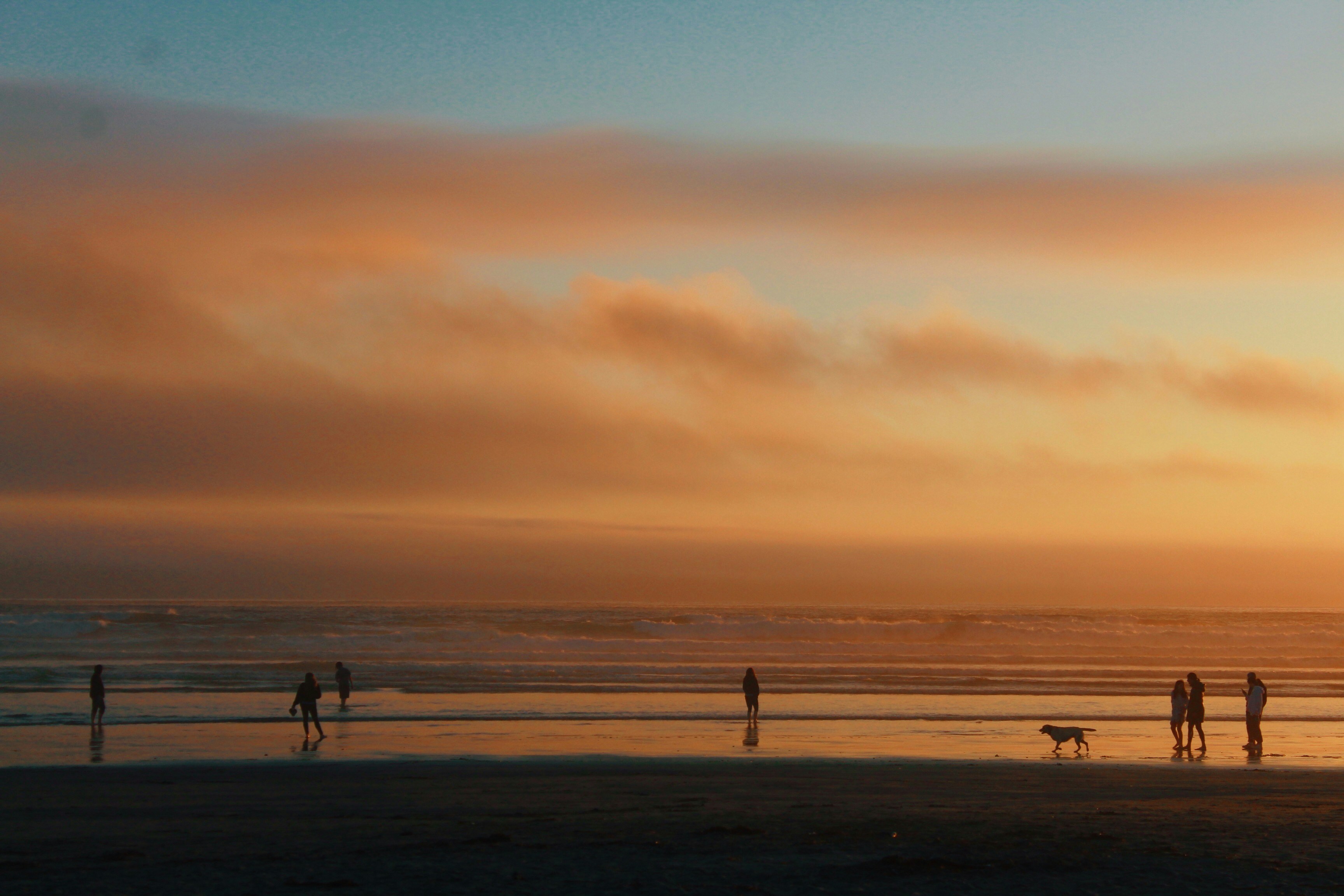 Photo by sophiaarichards