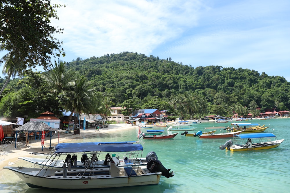 boats on the water with Paraggi in the background