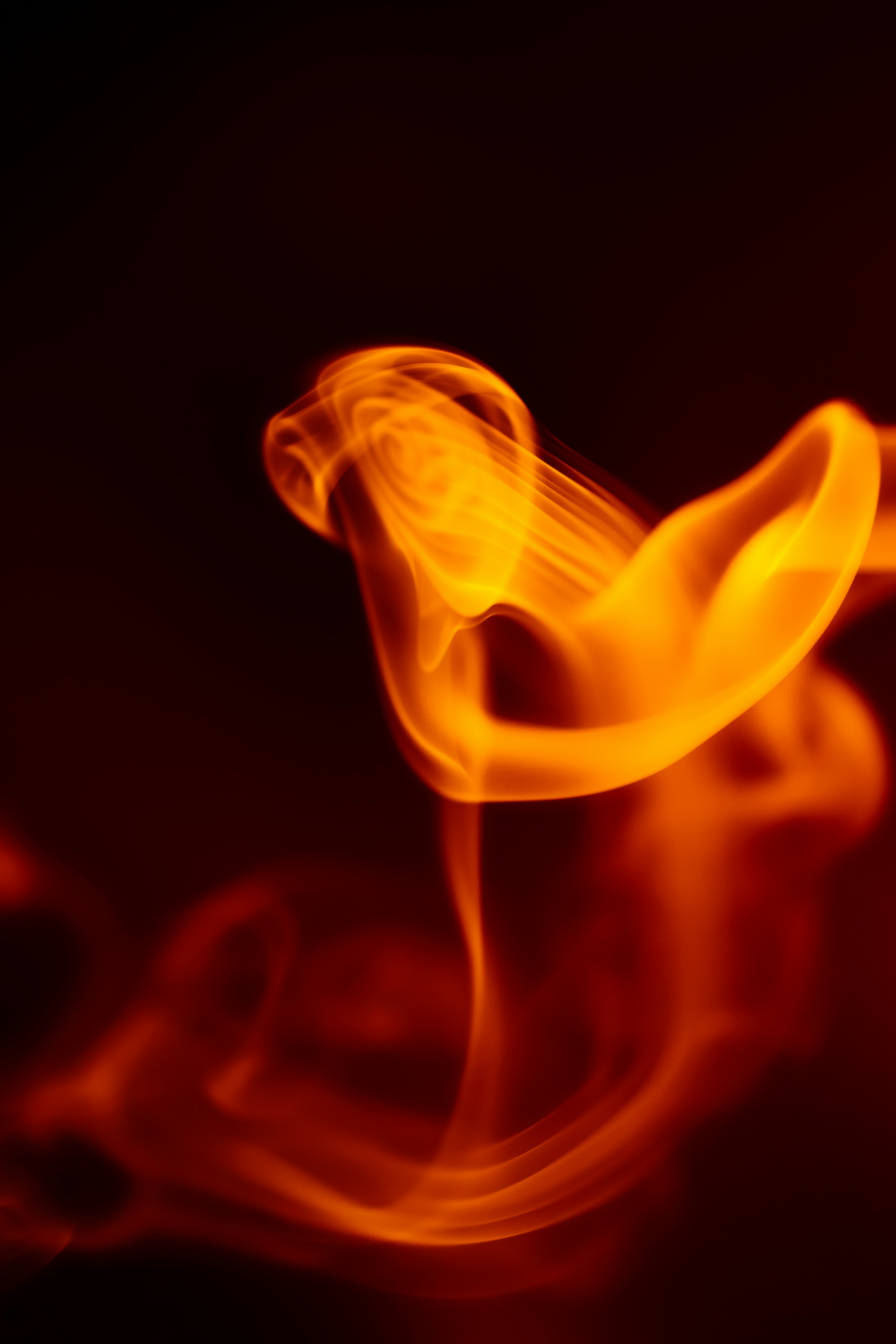 Photo by marekpiwnicki