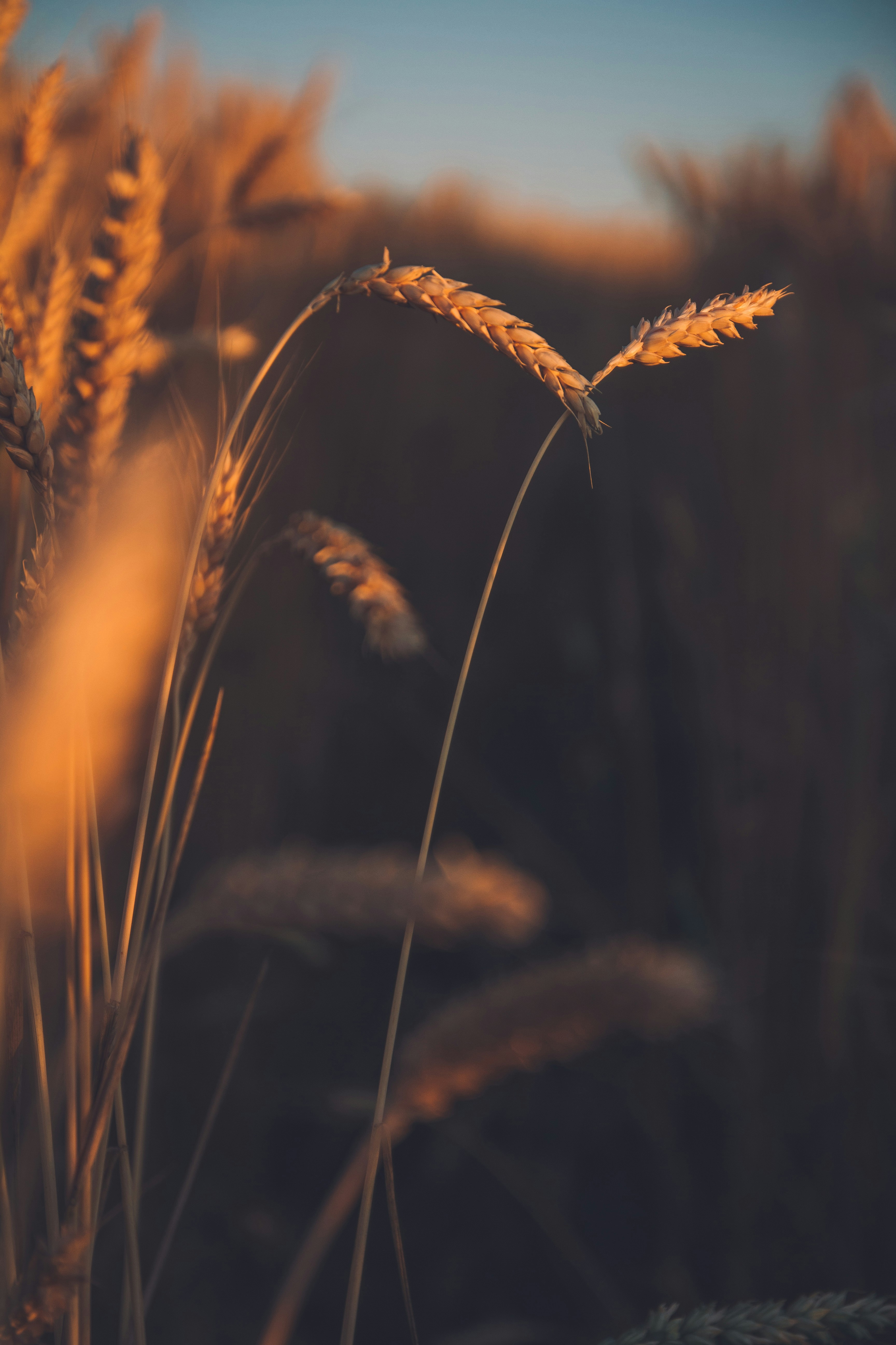 Photo by onmywayhome