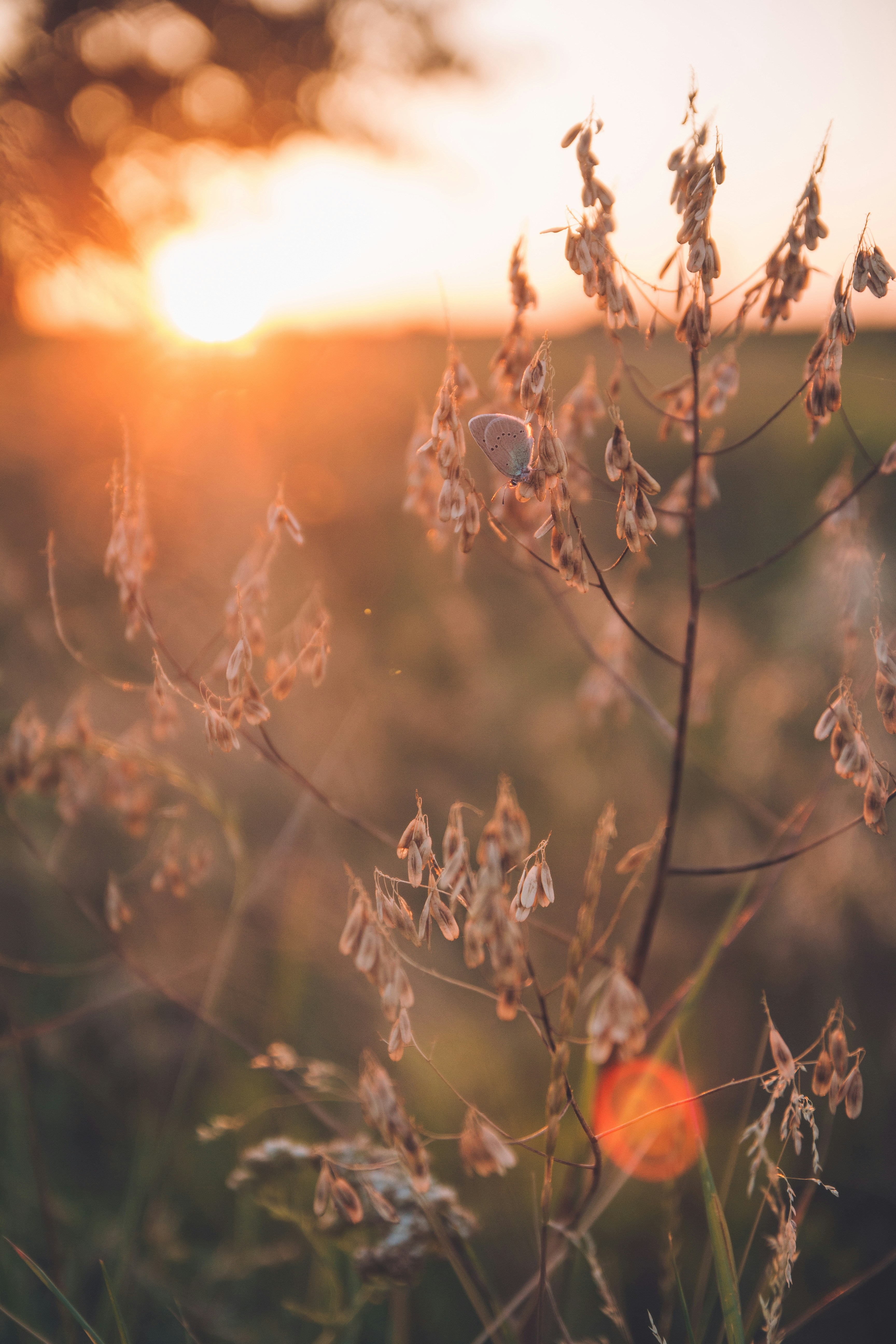 Photo by onmywayhome