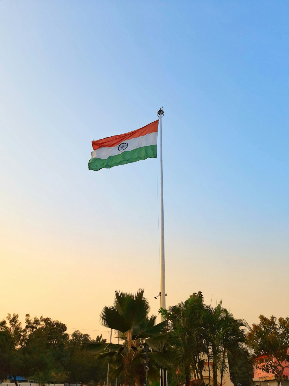 a flag on a flagpole