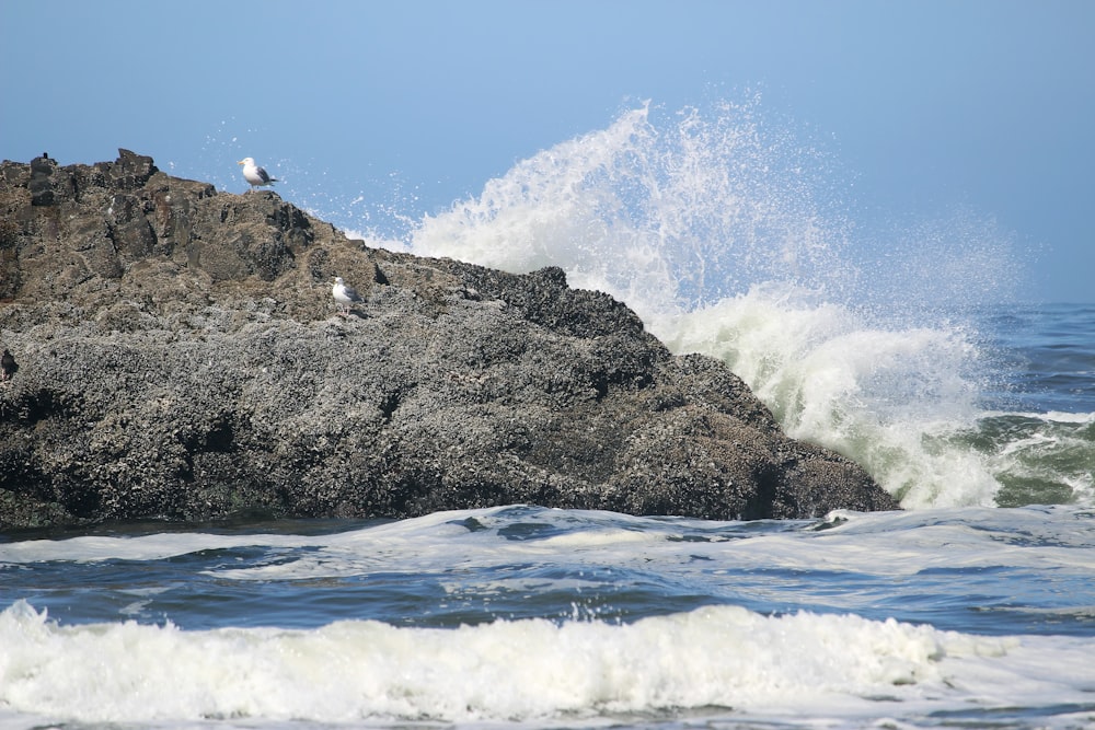 waves crashing against a rock