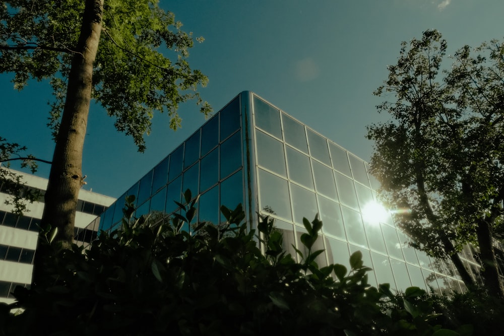 a building with glass walls