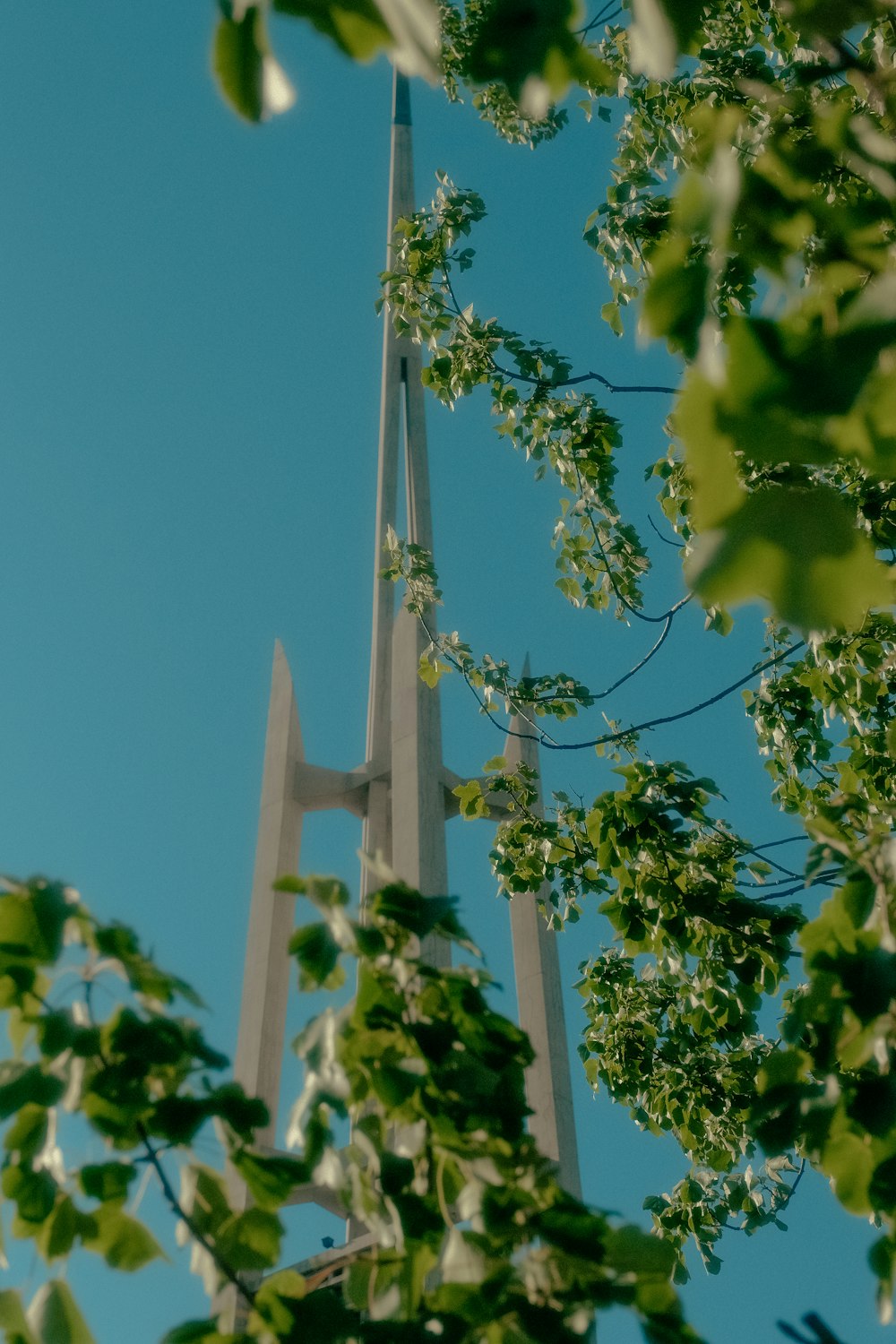 a tall tower with a tree in front of it