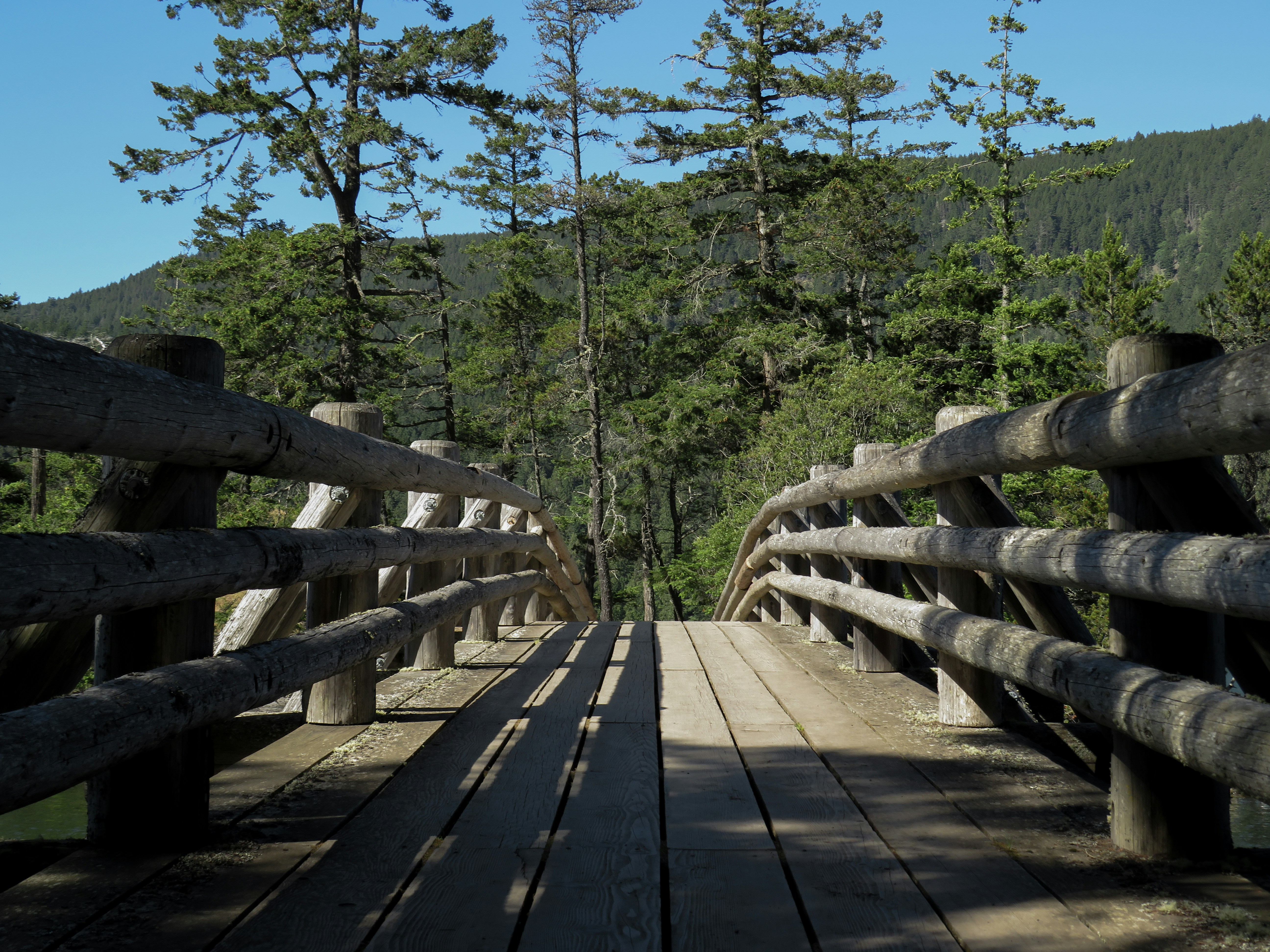 a wooden bridge over a river