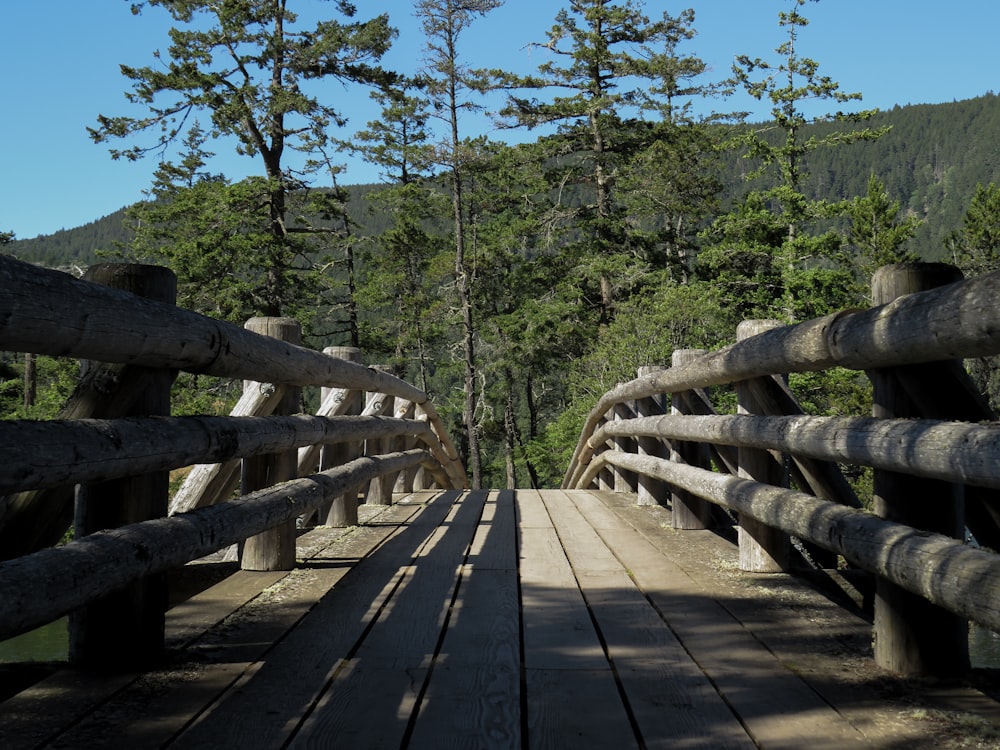 a wooden bridge over a river