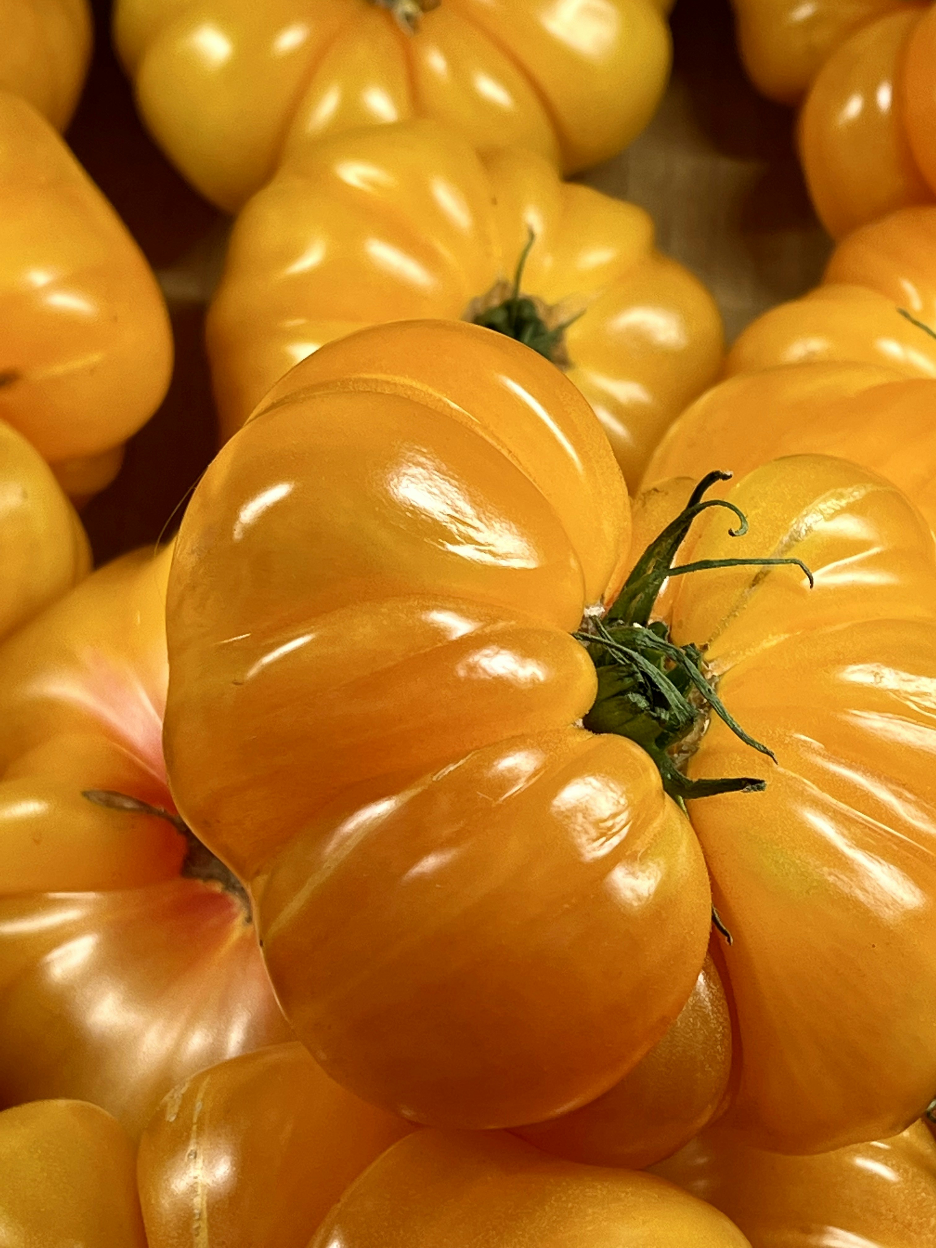 La tomate ananas - ©Tite Zobaran - Unsplash