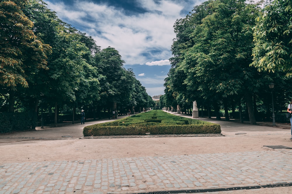 a brick walkway with trees and a statue in the middle