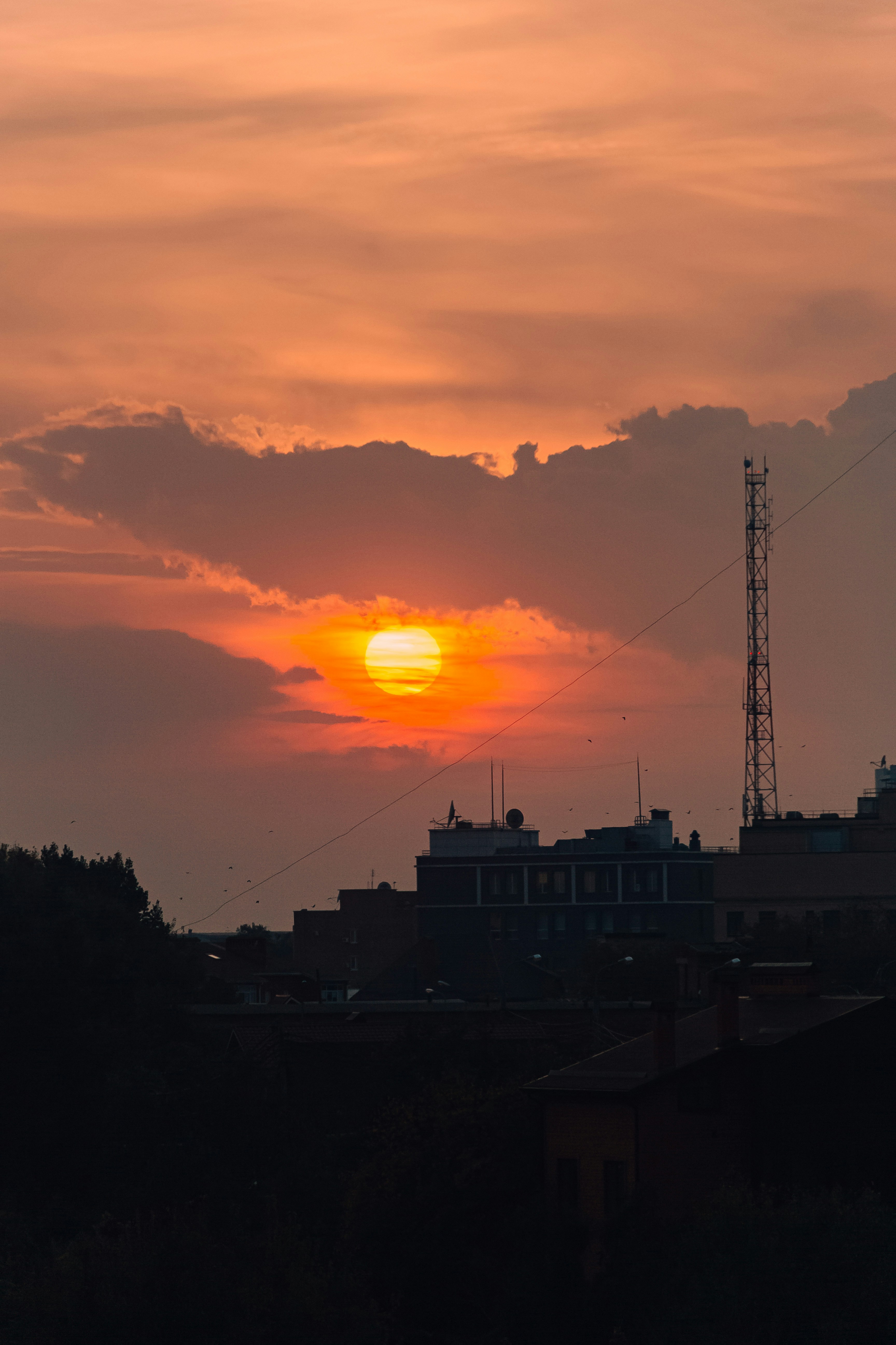 Photo by krosmos