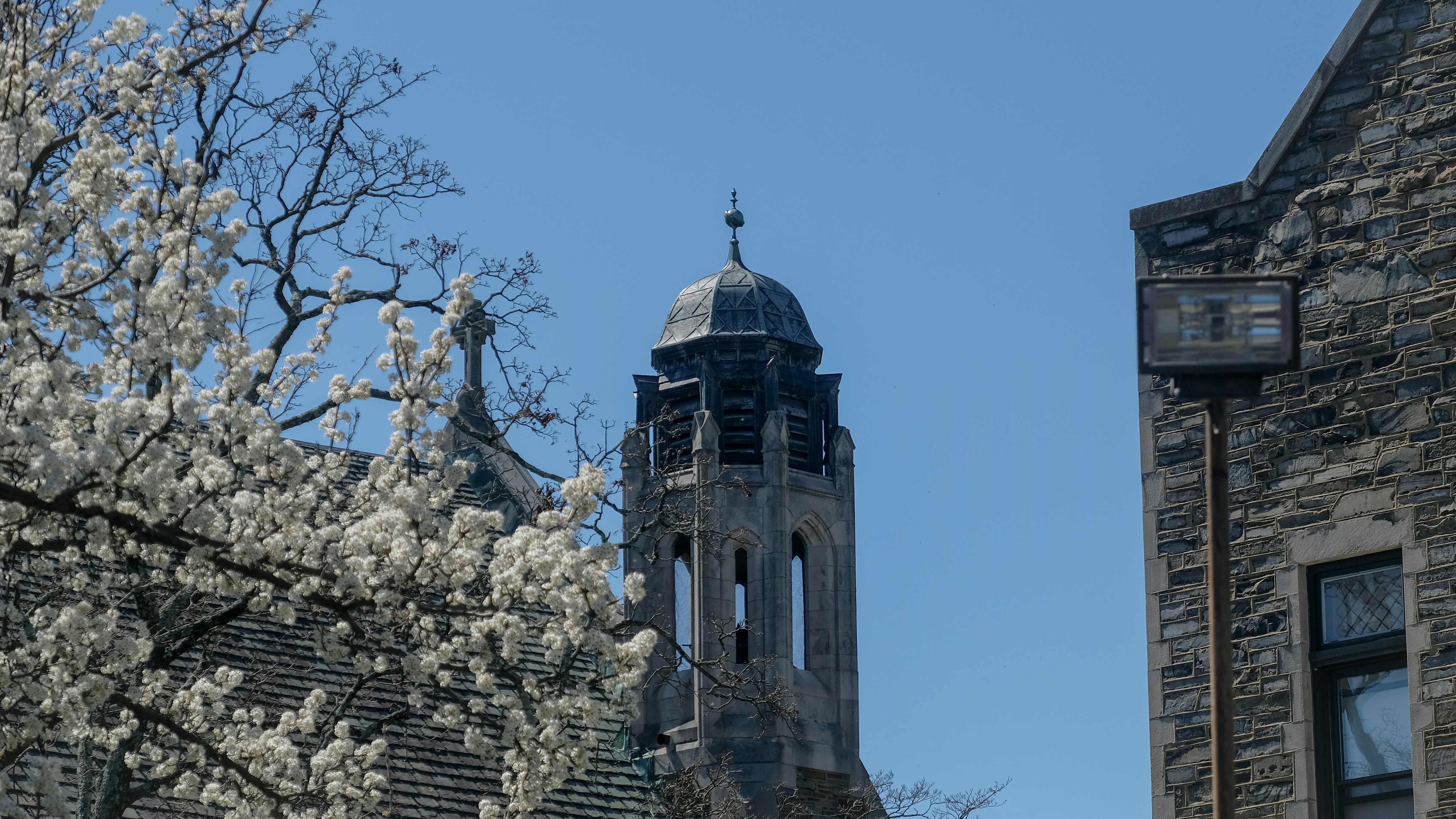 Photo by pau1inephotography