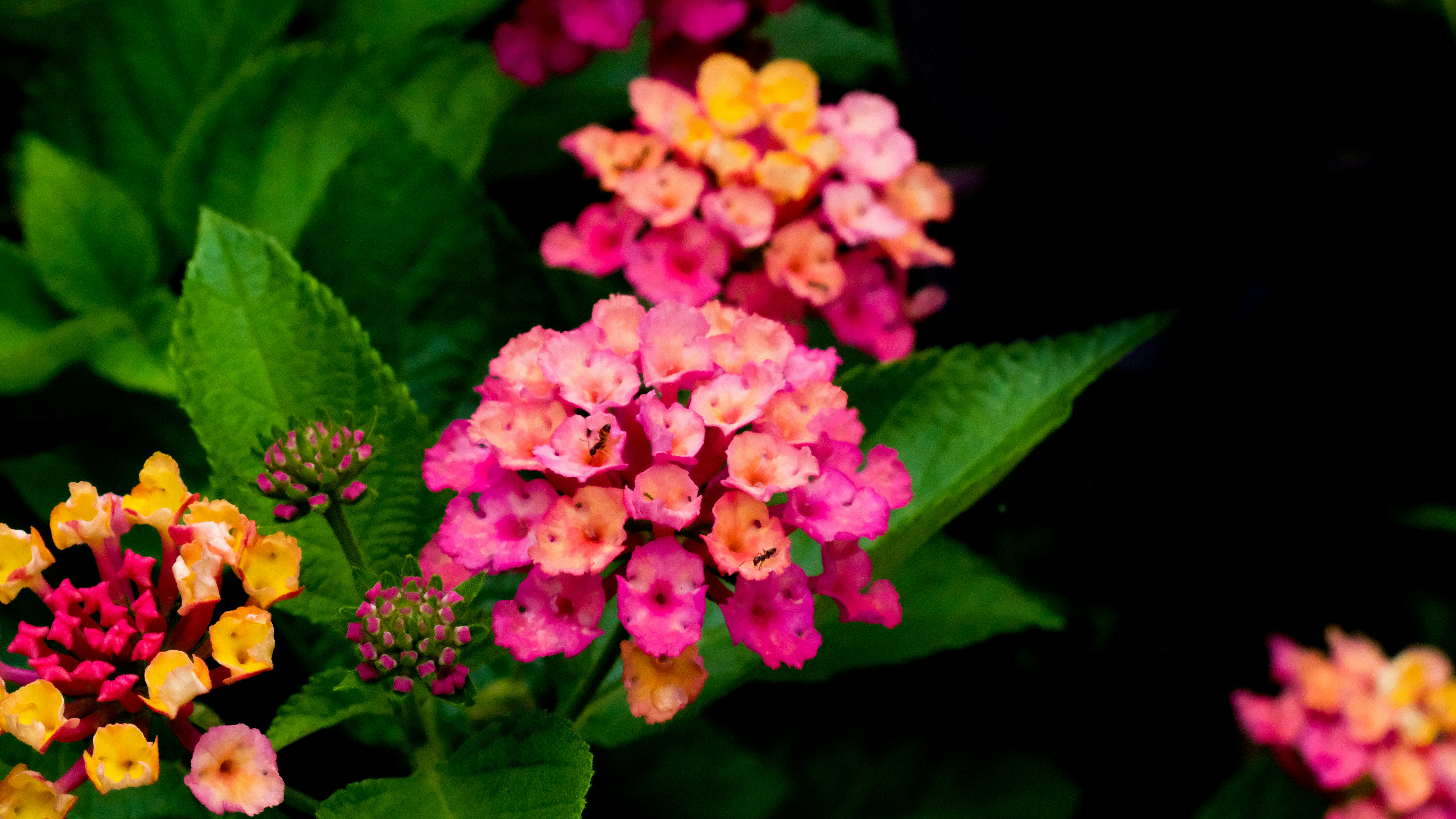 Photo by pau1inephotography