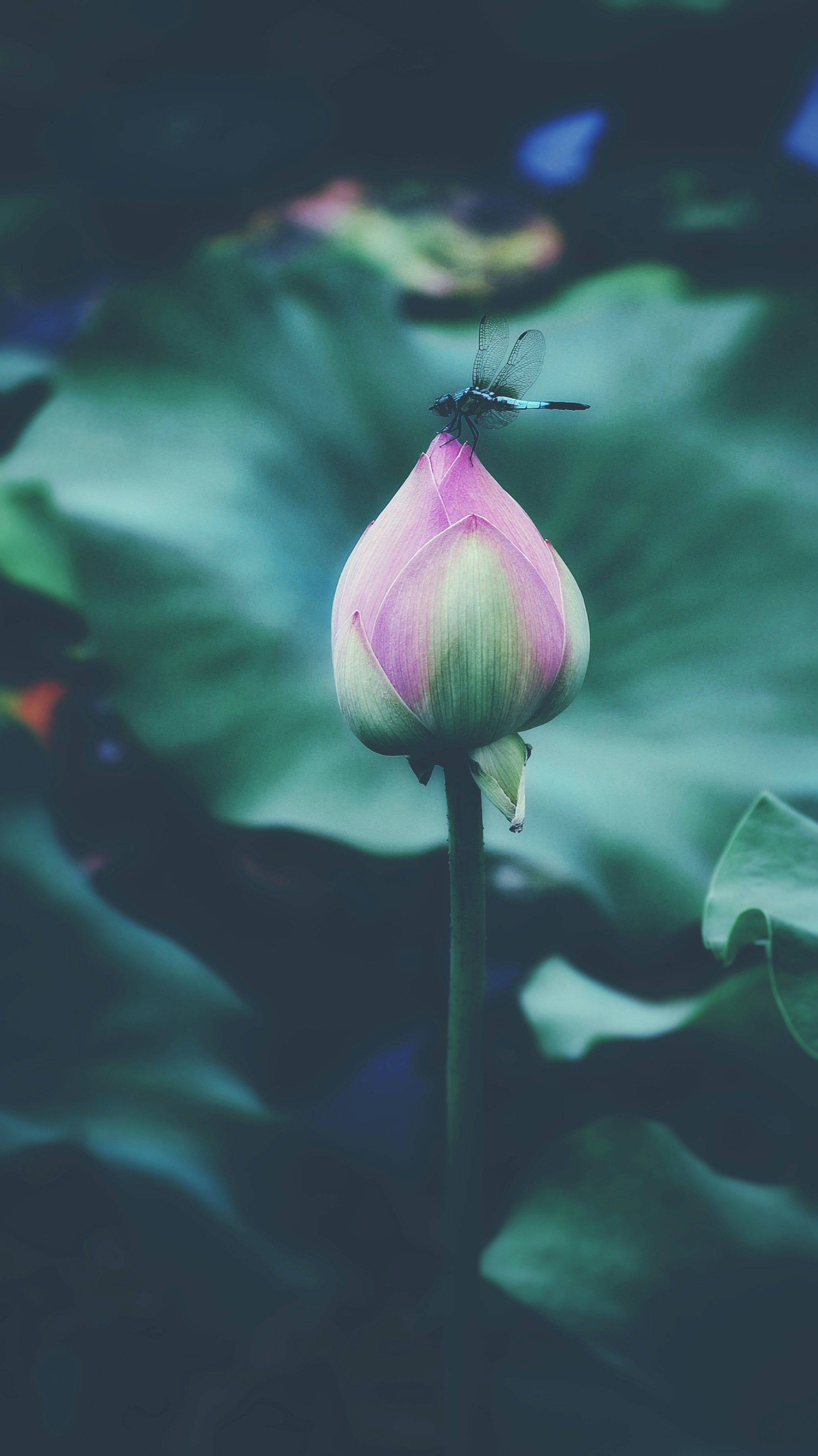 Photo by 2nd_cosmic_velocity