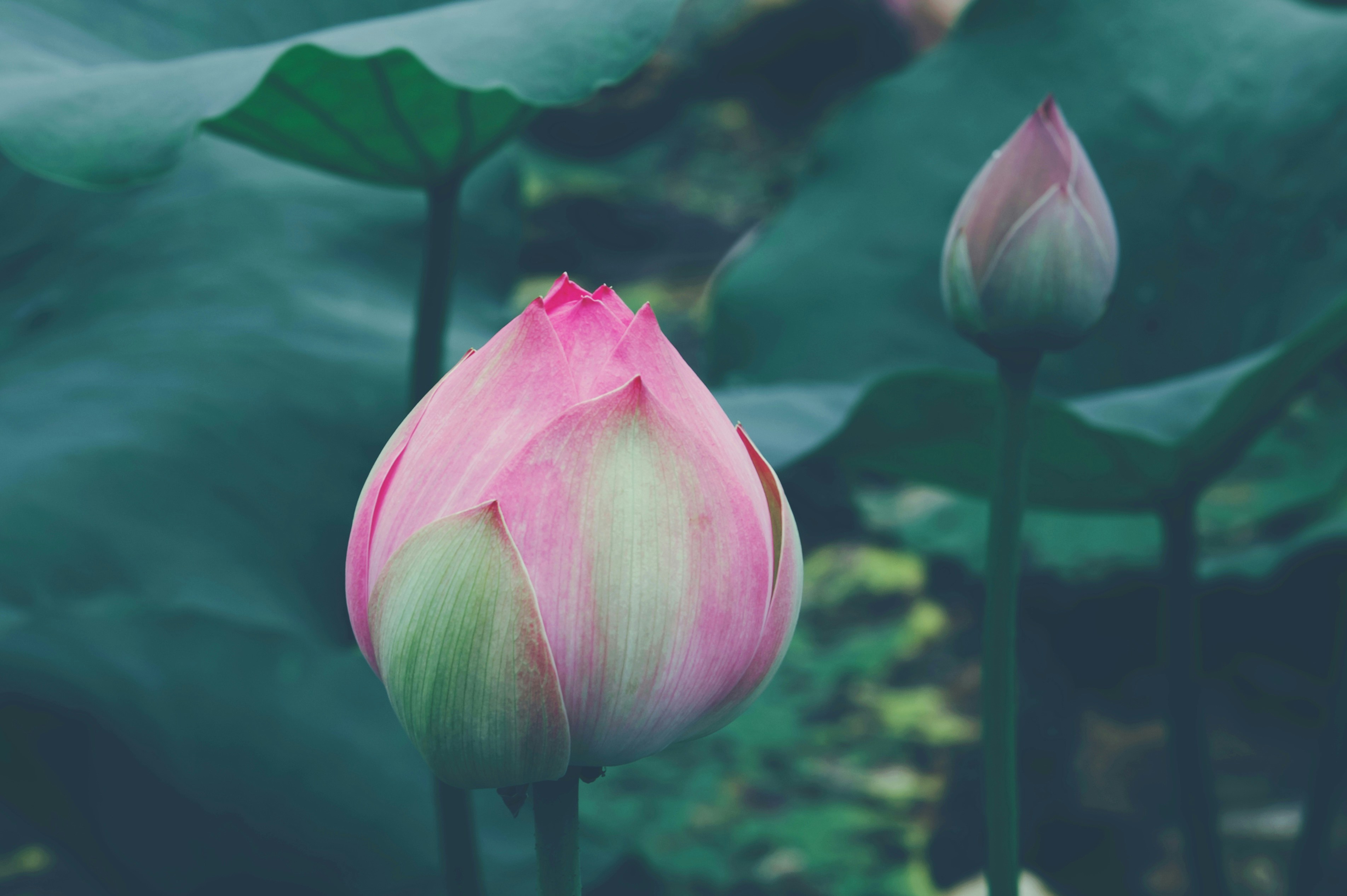 Photo by 2nd_cosmic_velocity