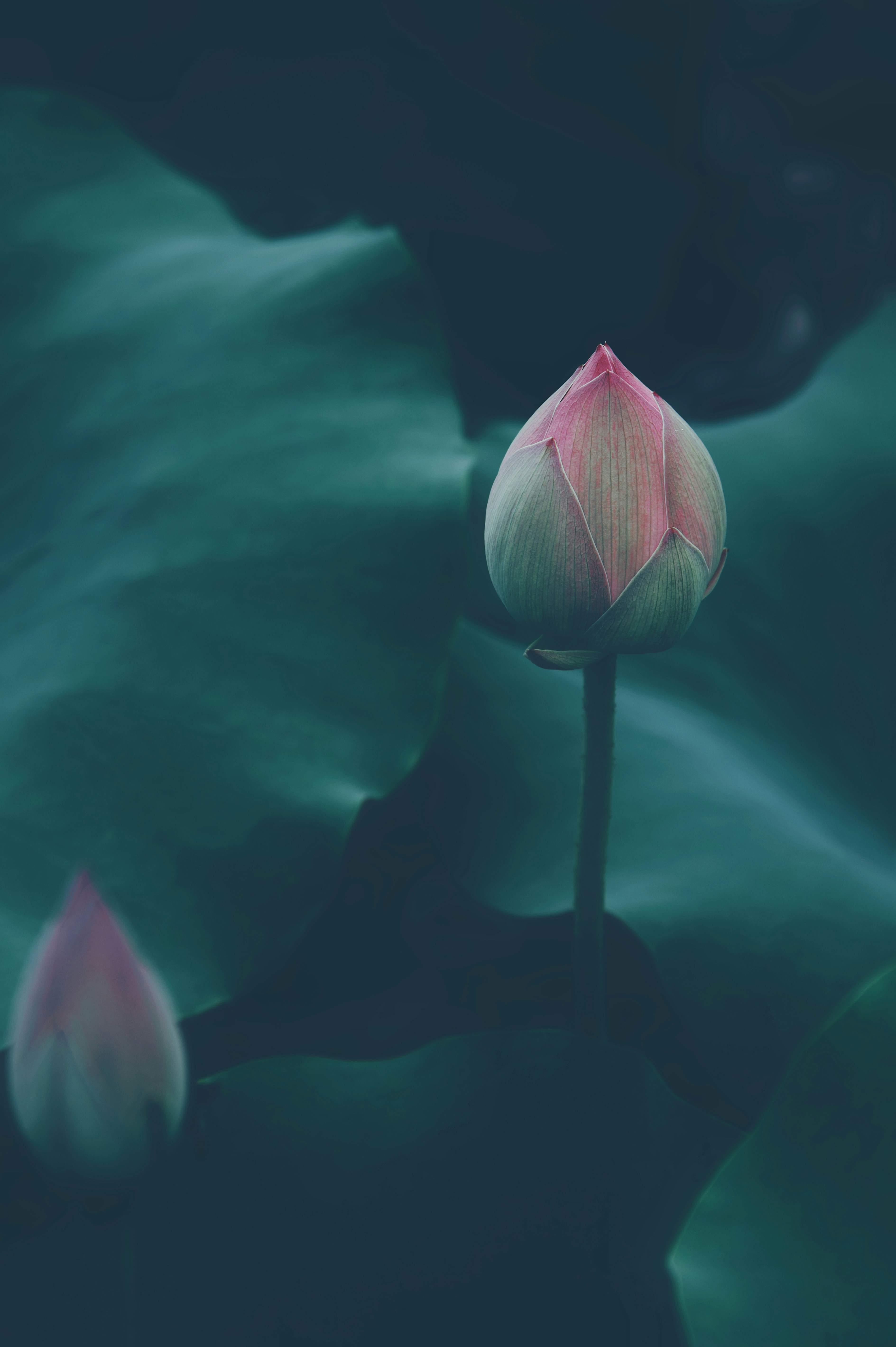 Photo by 2nd_cosmic_velocity