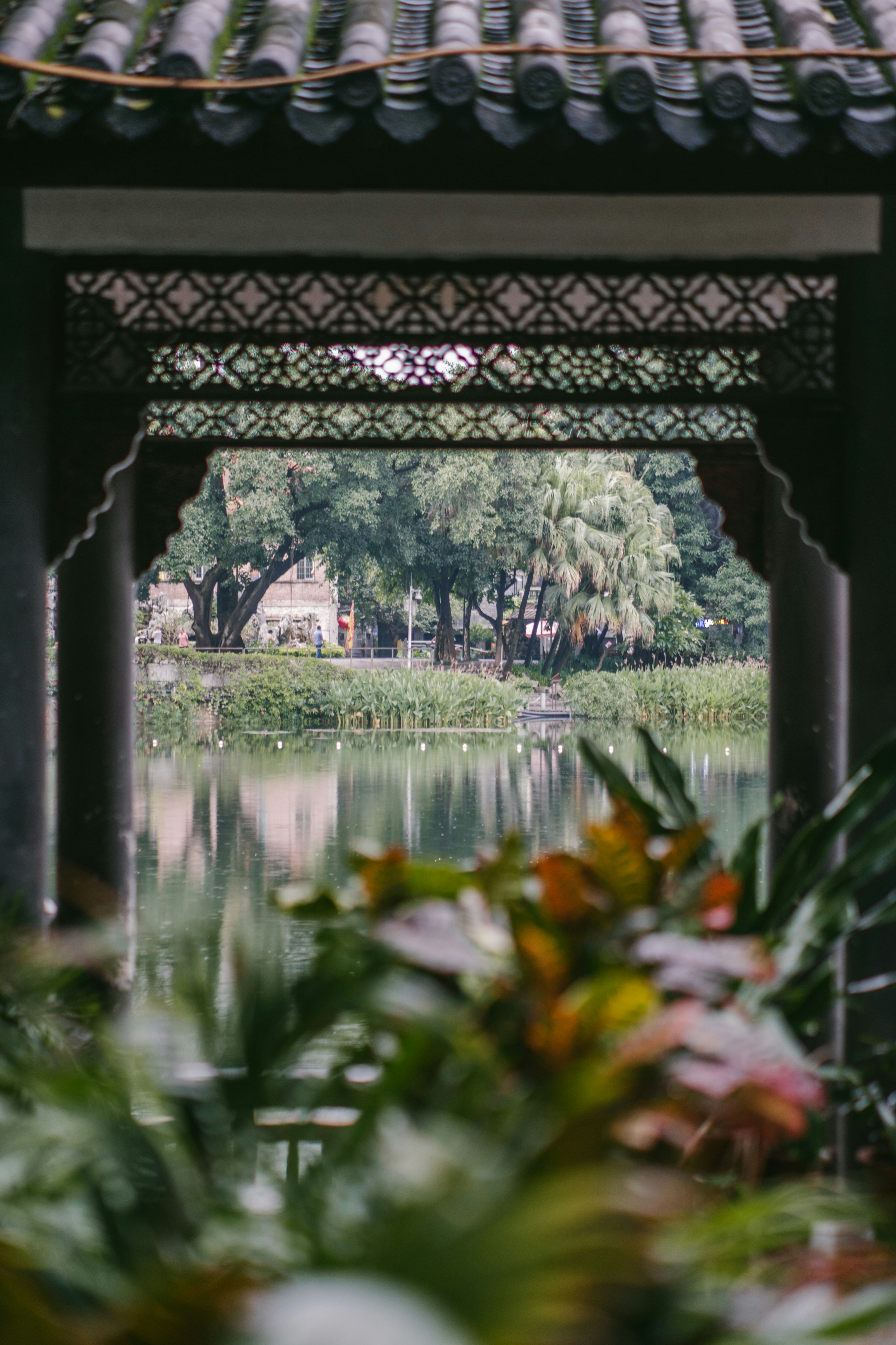 a pond with flowers and trees