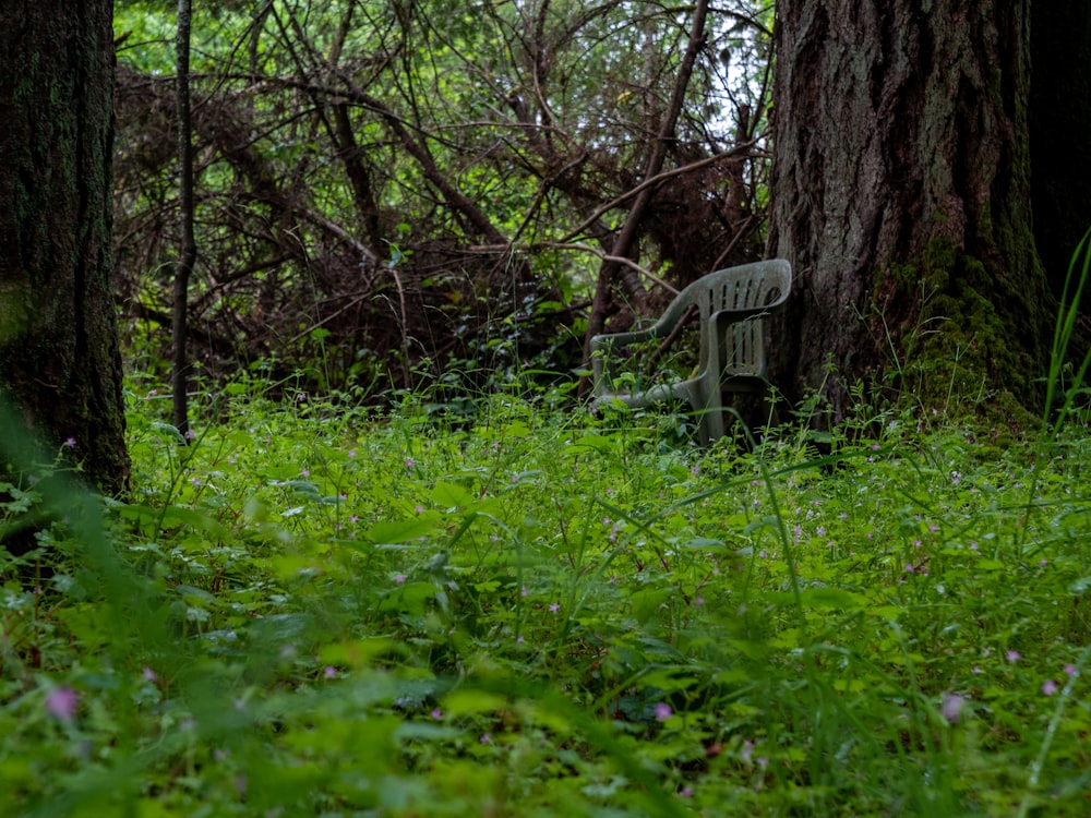 Un banc dans un parc