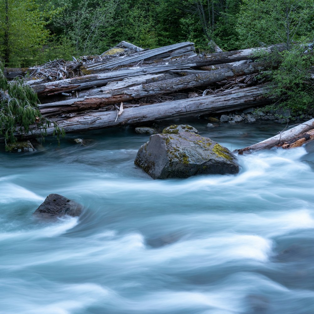 a river with a log bridge