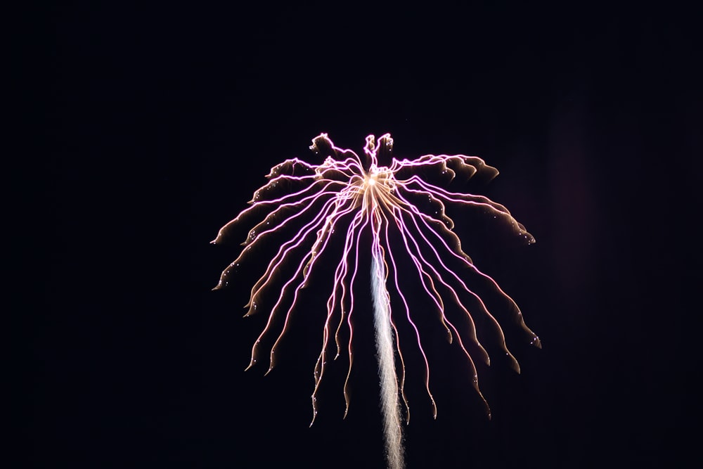 a pink and white explosion