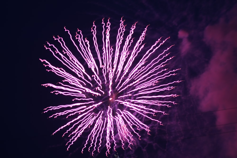 a pink and purple fireworks display