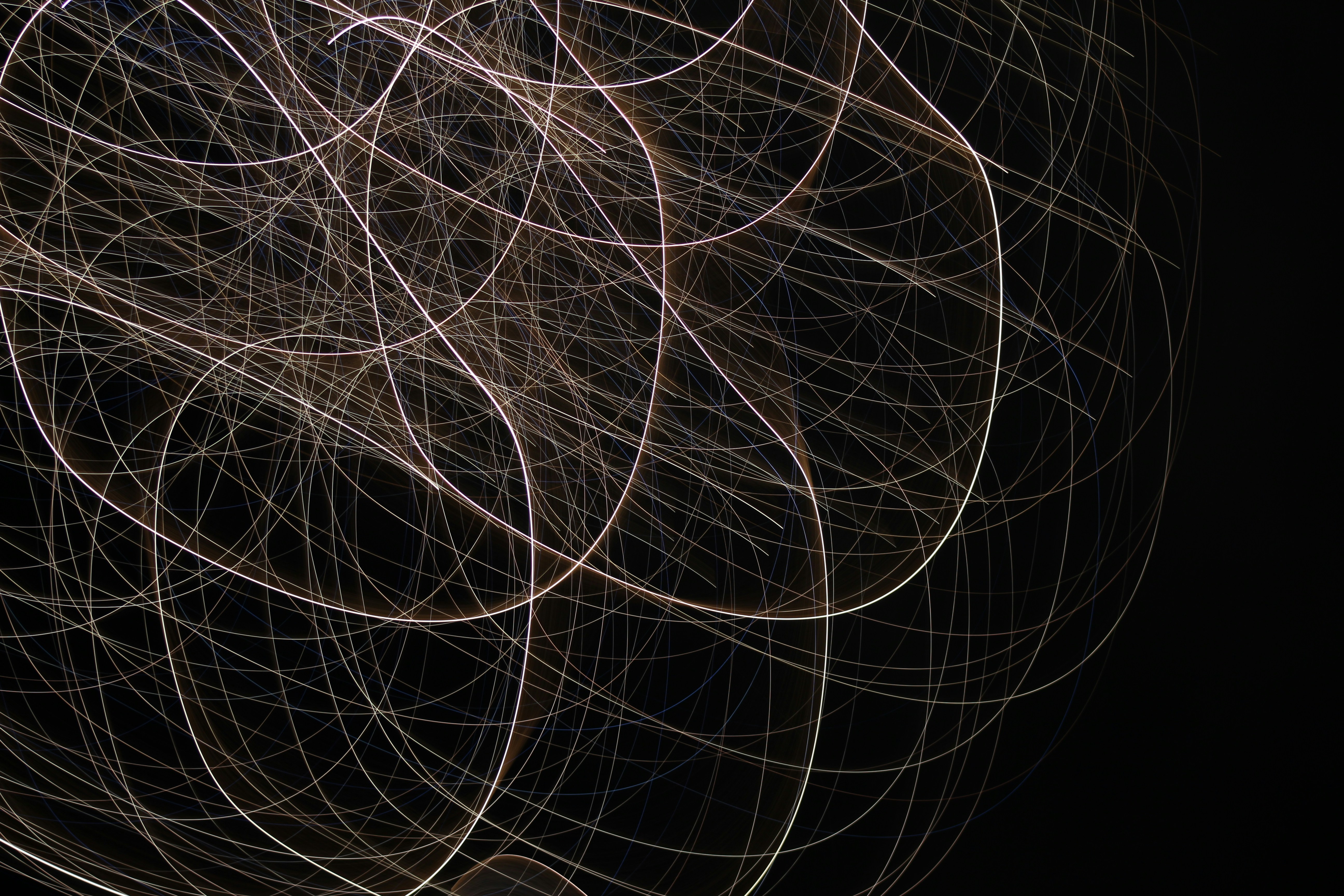 Photo by mauve_the_wolf