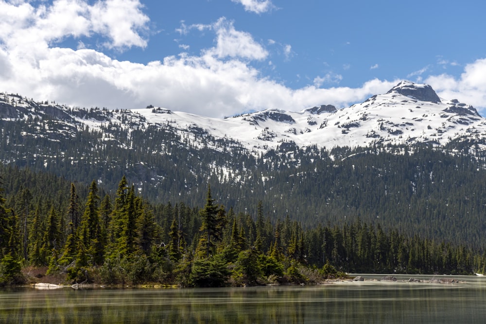 a lake with trees and mountains in the background