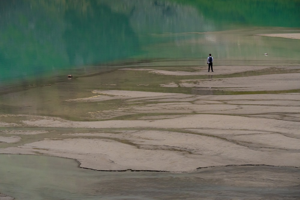 a person standing on a beach