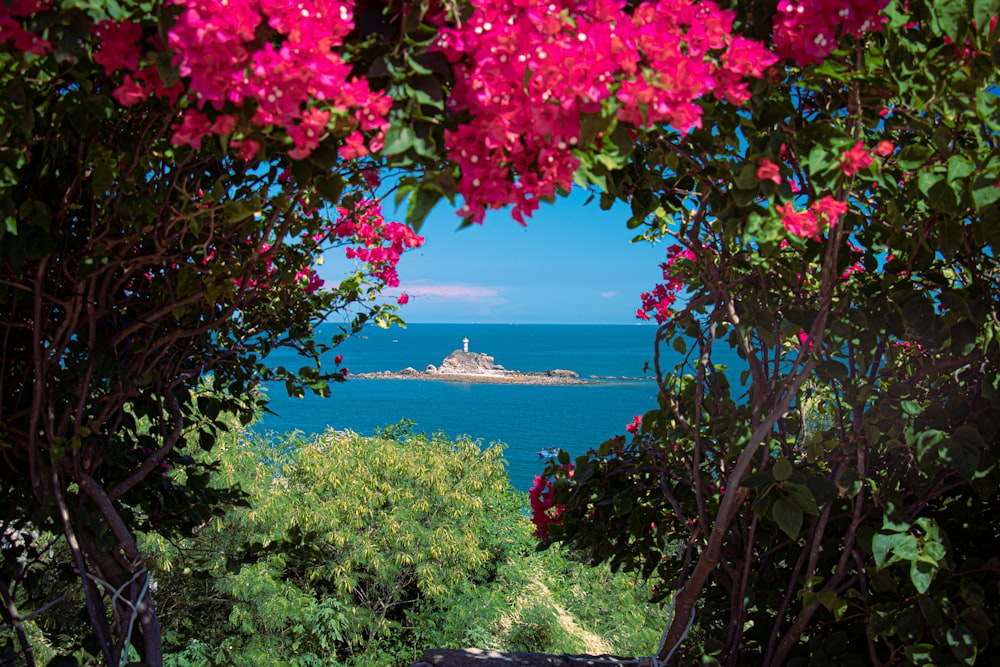 a view of a body of water and a land with trees