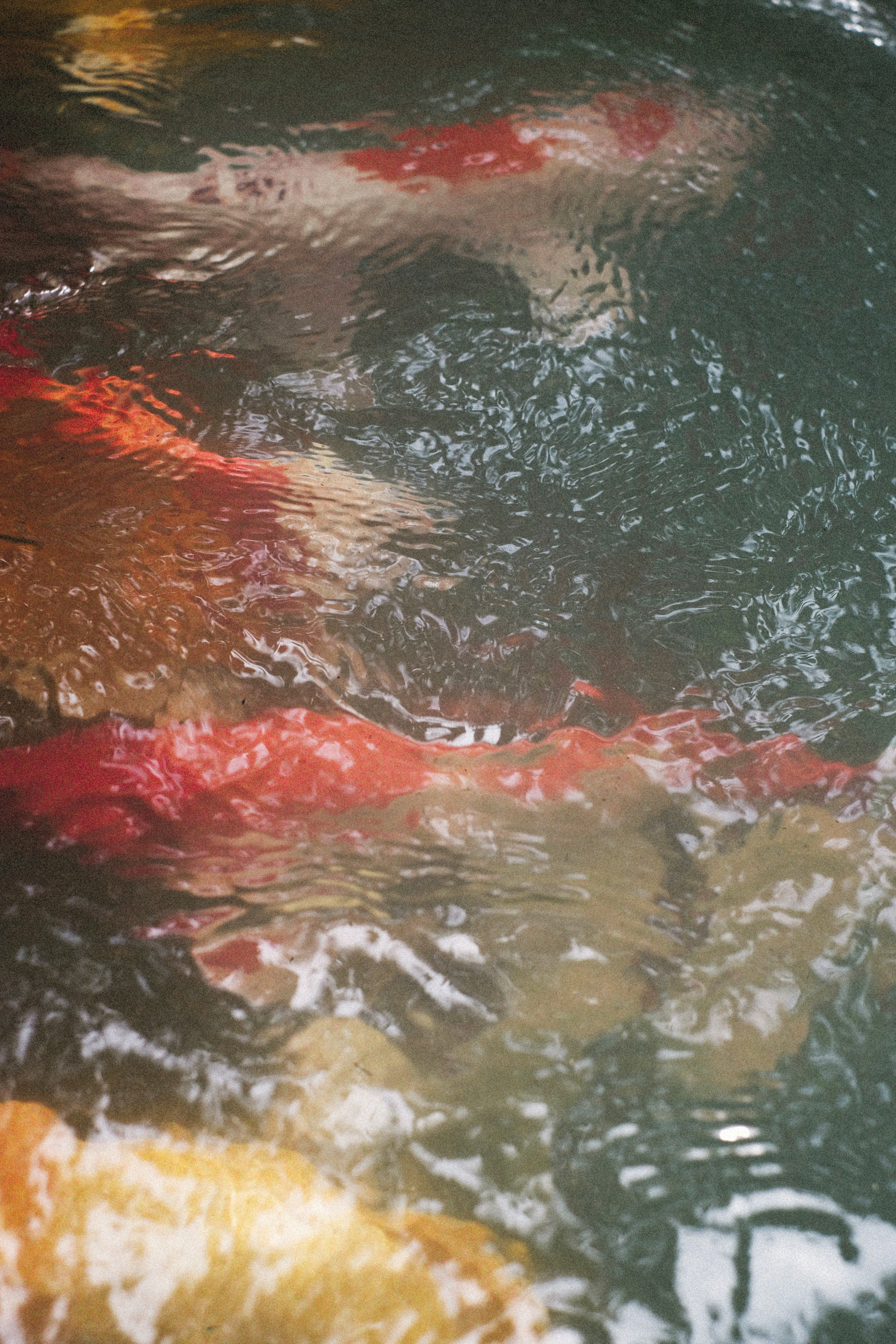 Photo by alexeydemidov